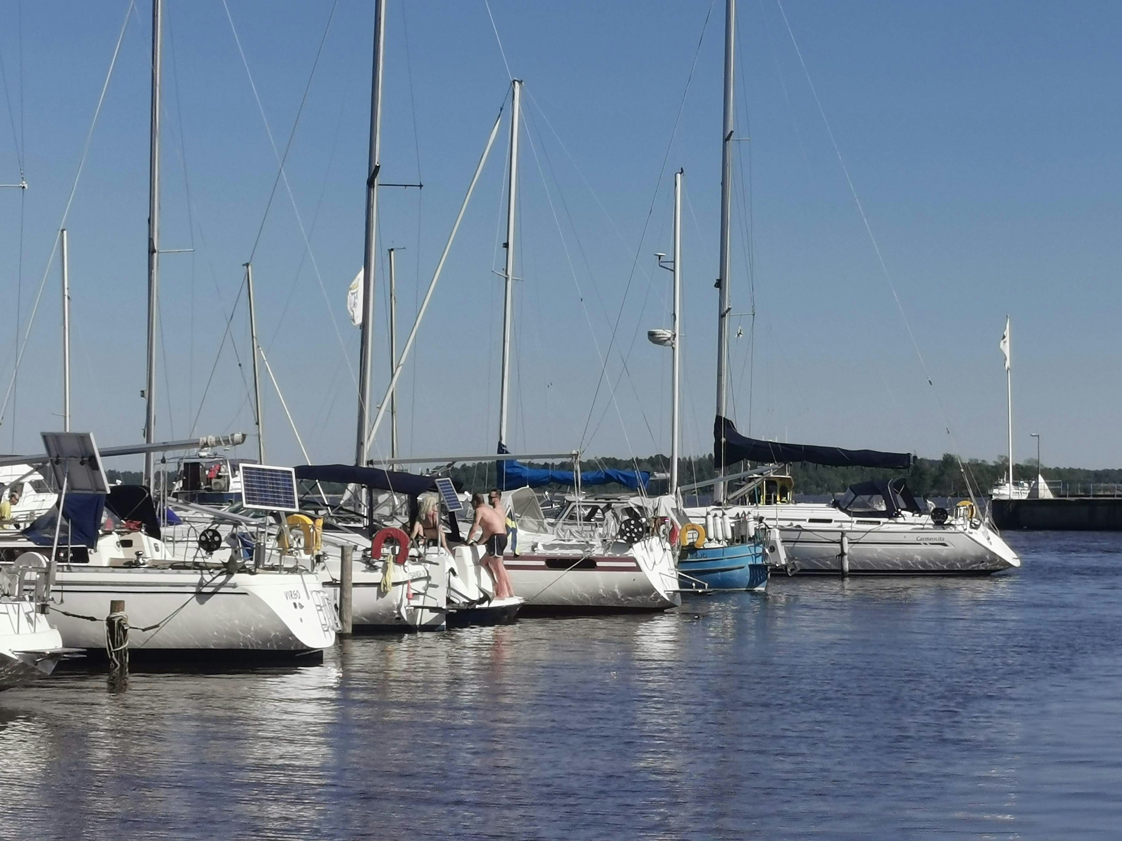 A serene harbor scene with multiple yachts docked along calm waters