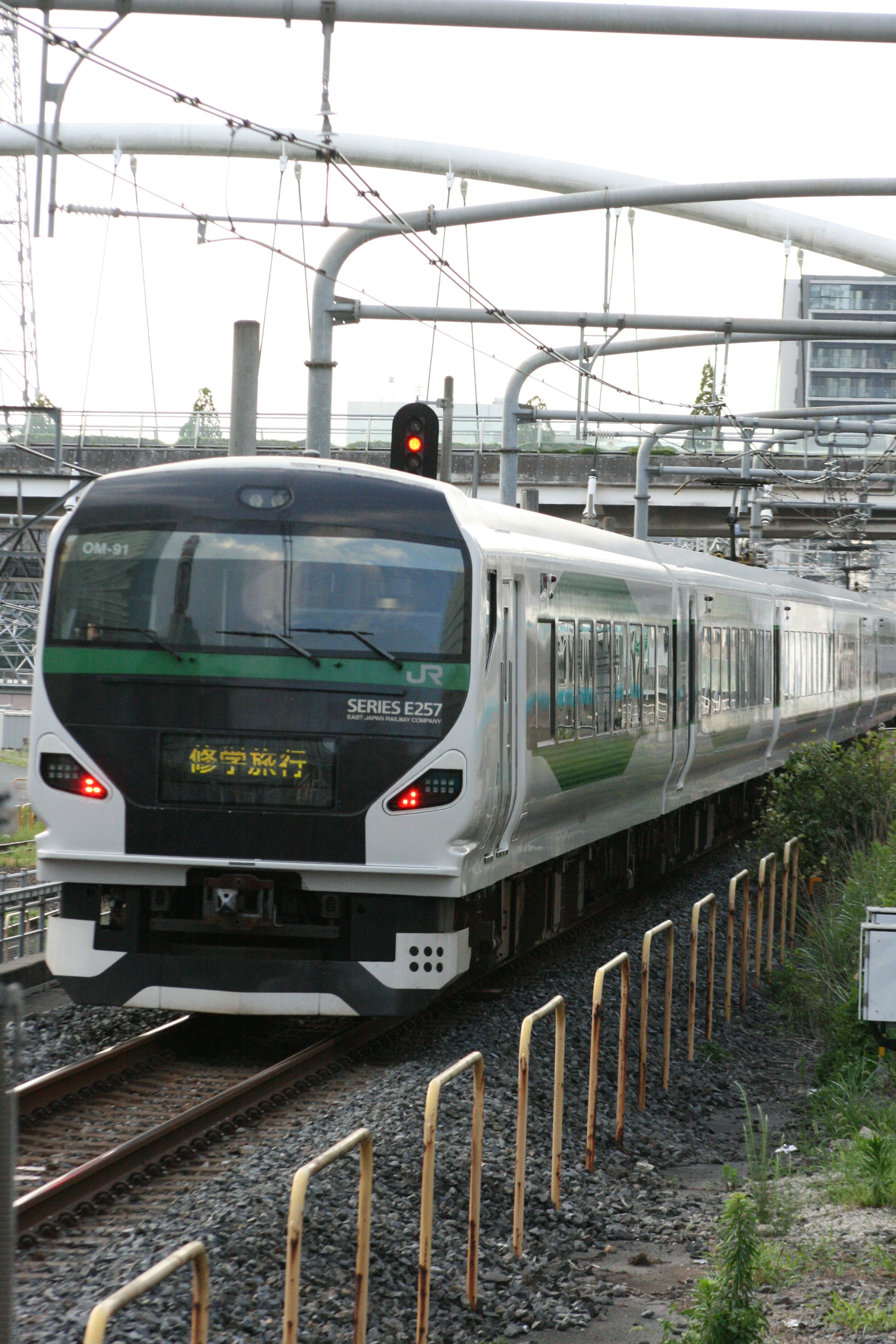 Un train vert et blanc se déplaçant le long des voies