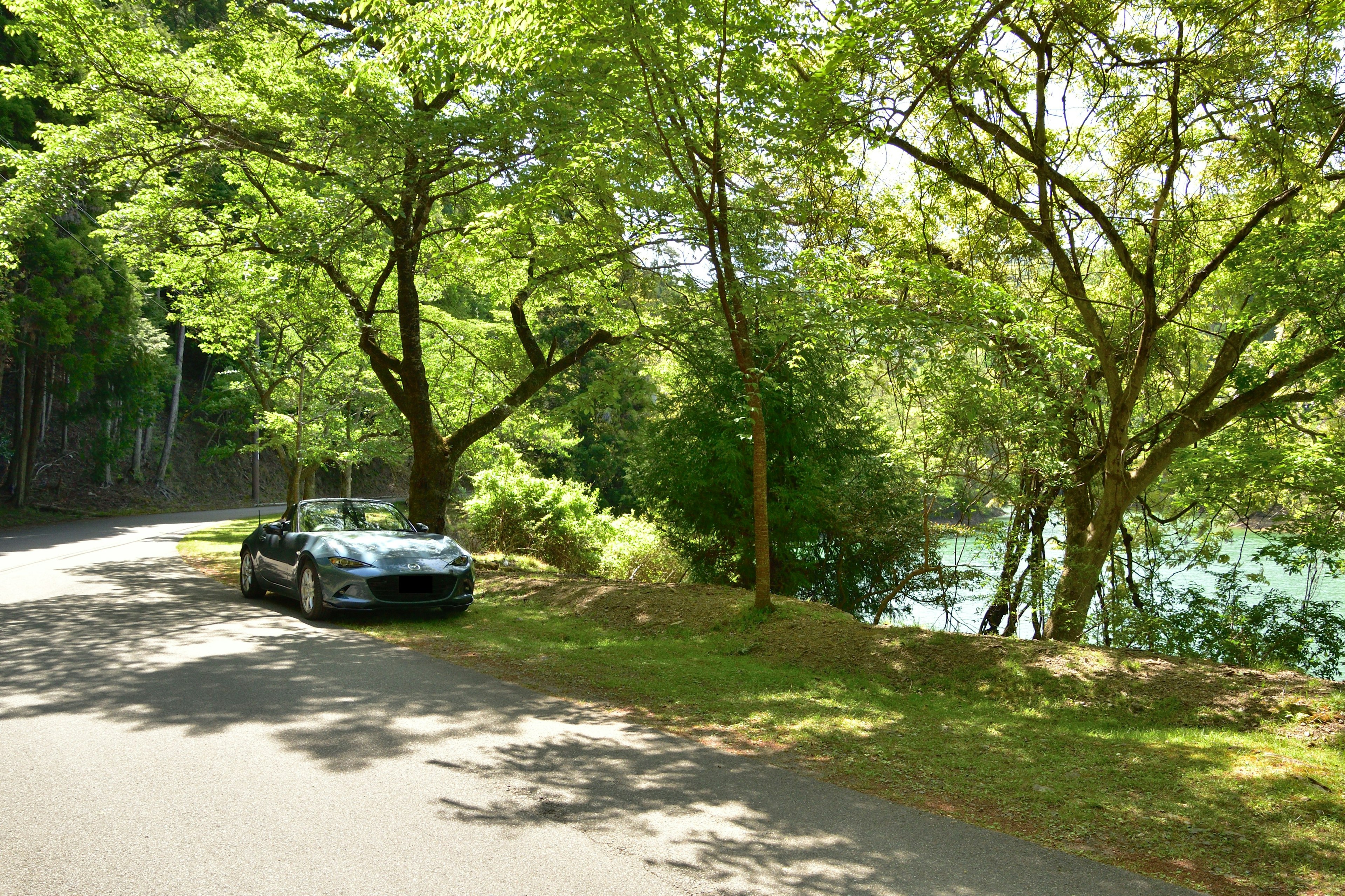 A black car parked along a road surrounded by green trees and a blue water body