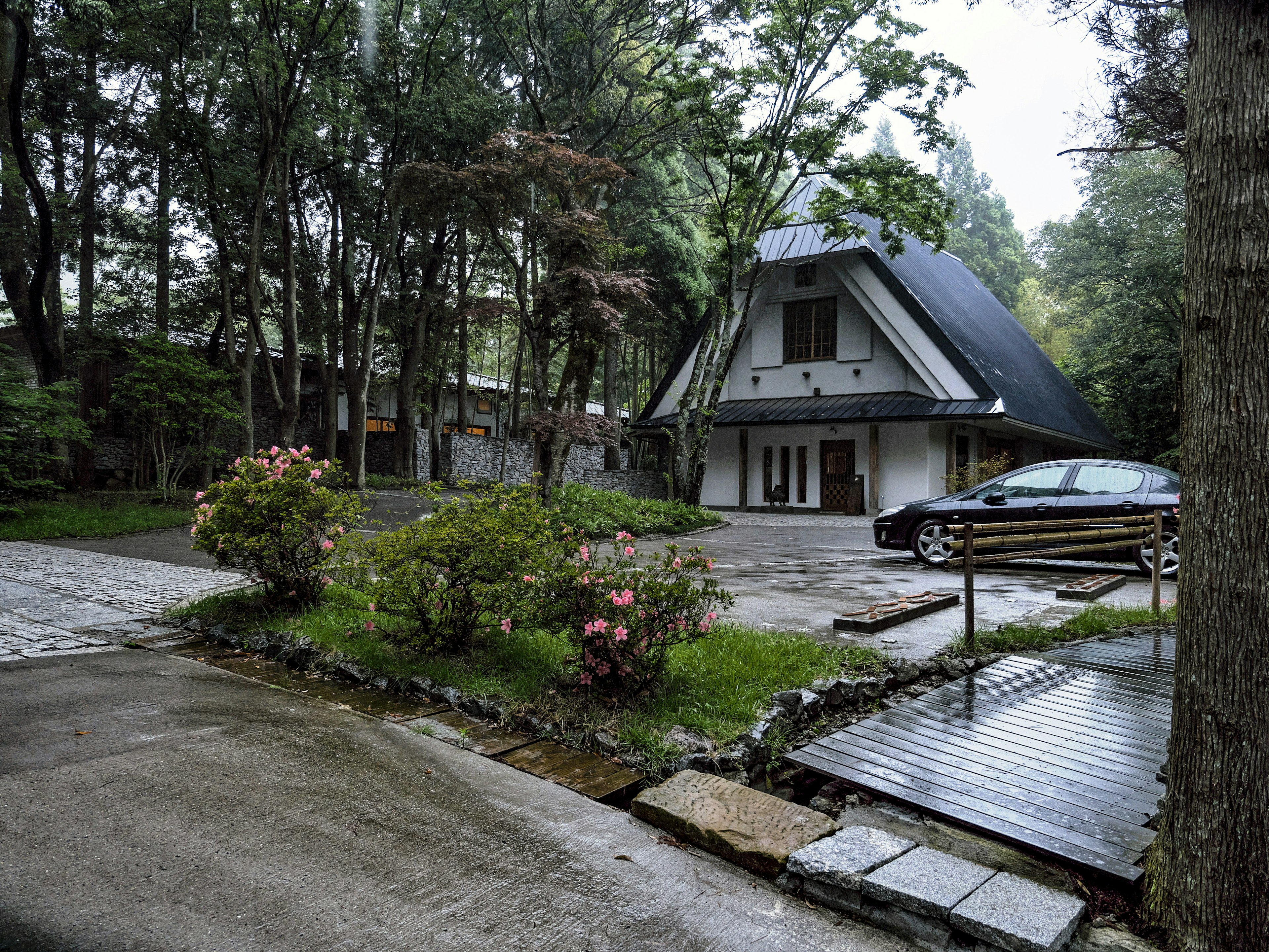 Casa moderna circondata da vegetazione con parcheggio e fiori nel giardino visibili