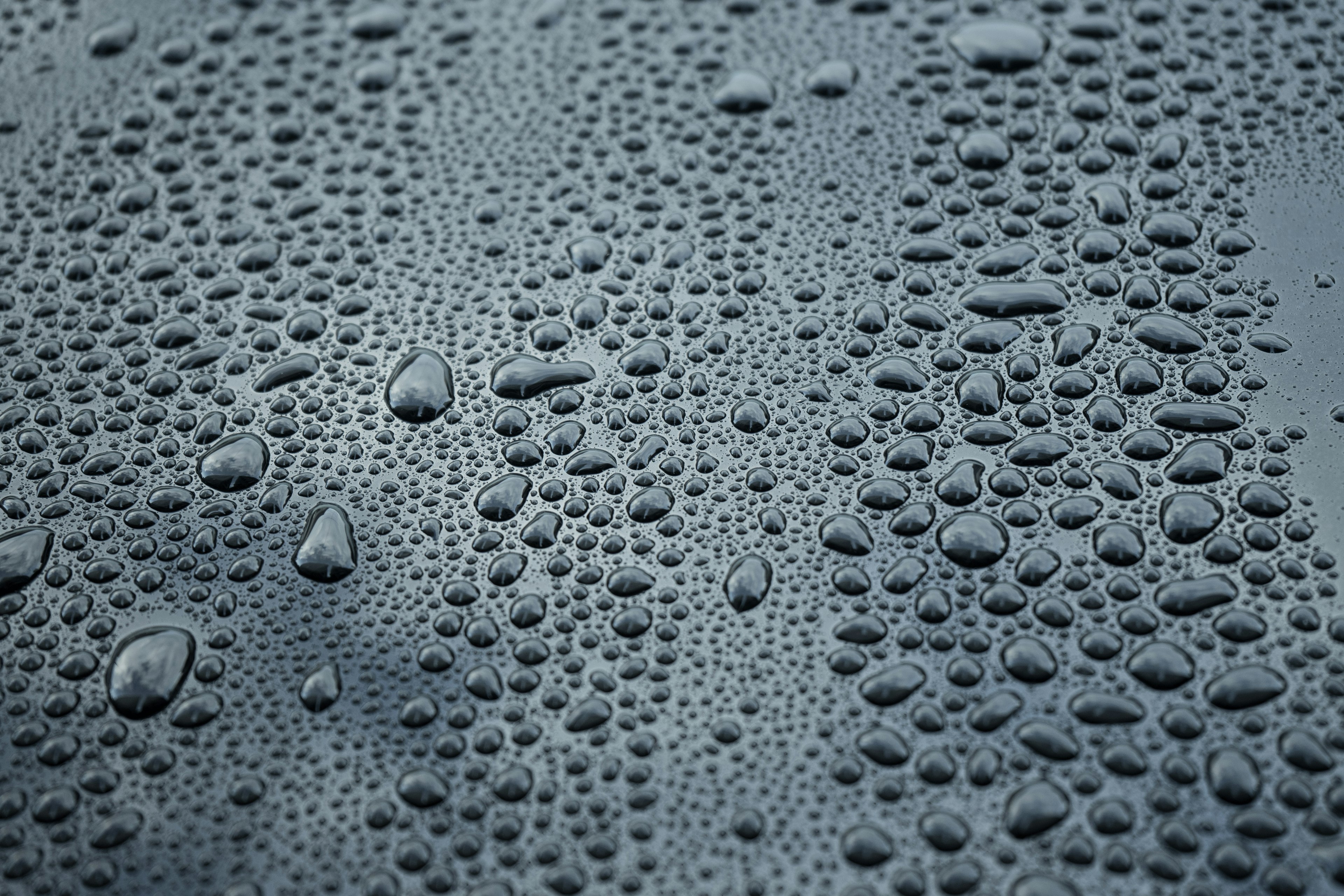 Close-up of water droplets on a dark surface