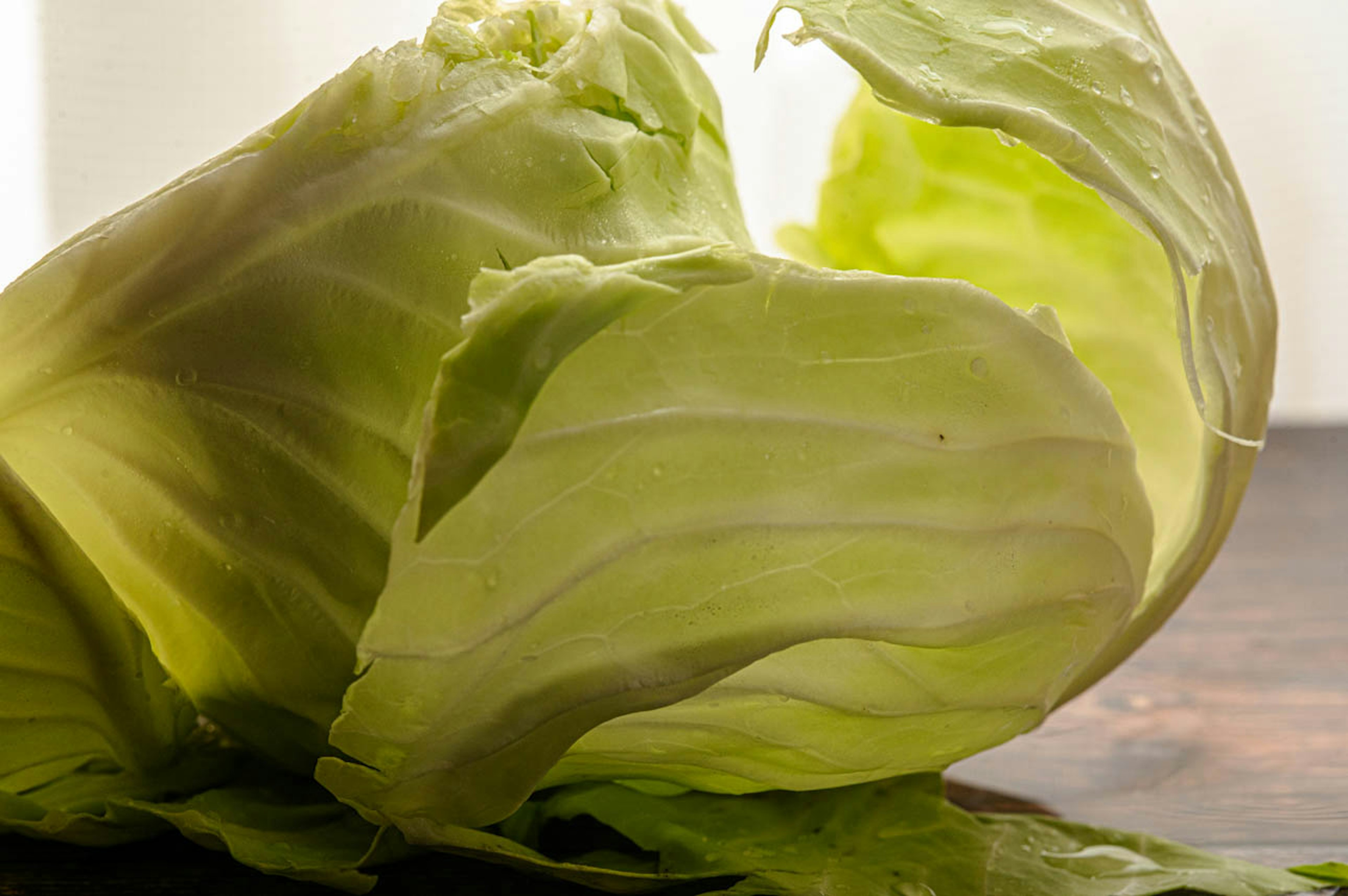 Close-up of fresh cabbage leaves with delicate texture