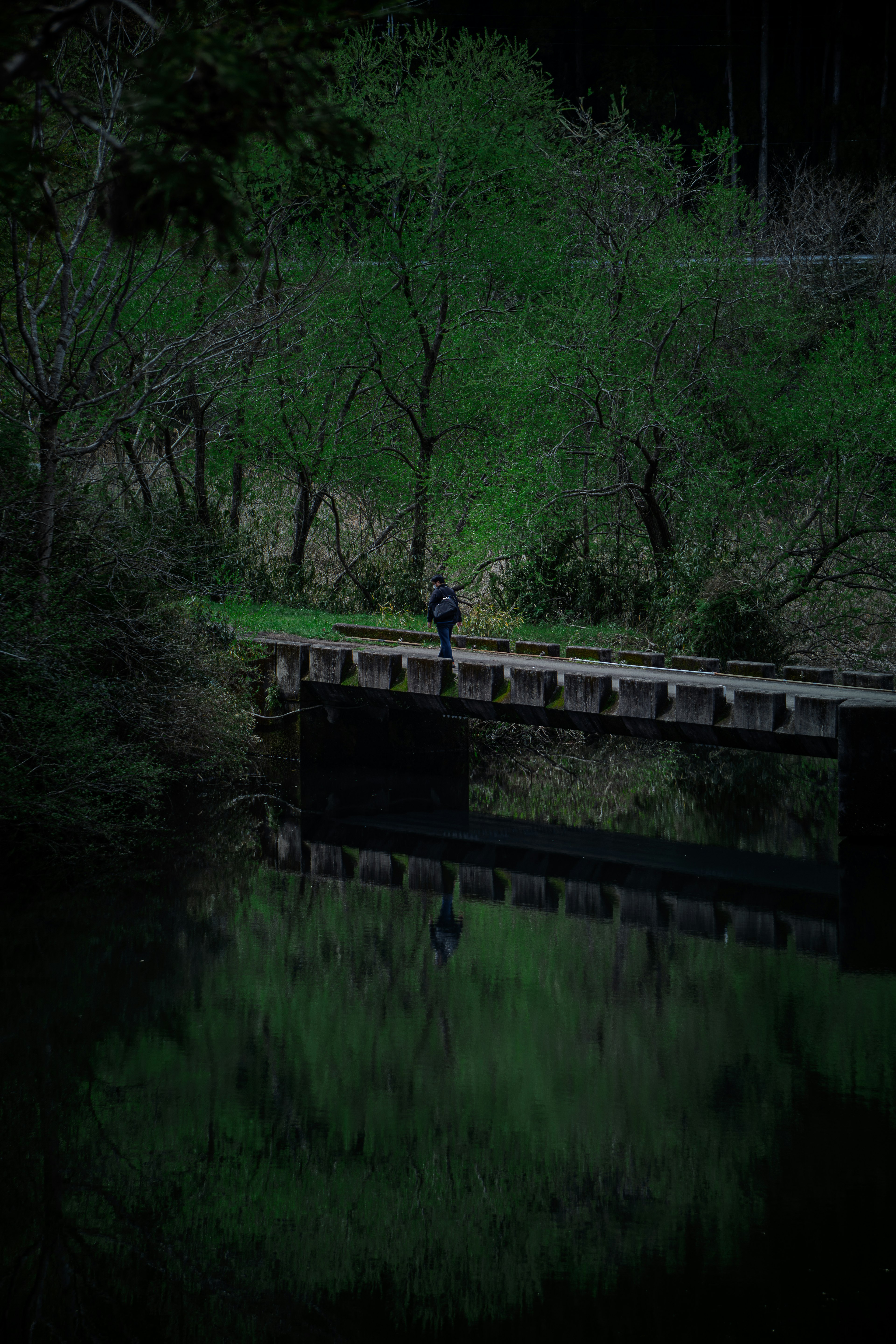 Eine kleine Brücke umgeben von grünen Bäumen mit Reflexionen im Wasser