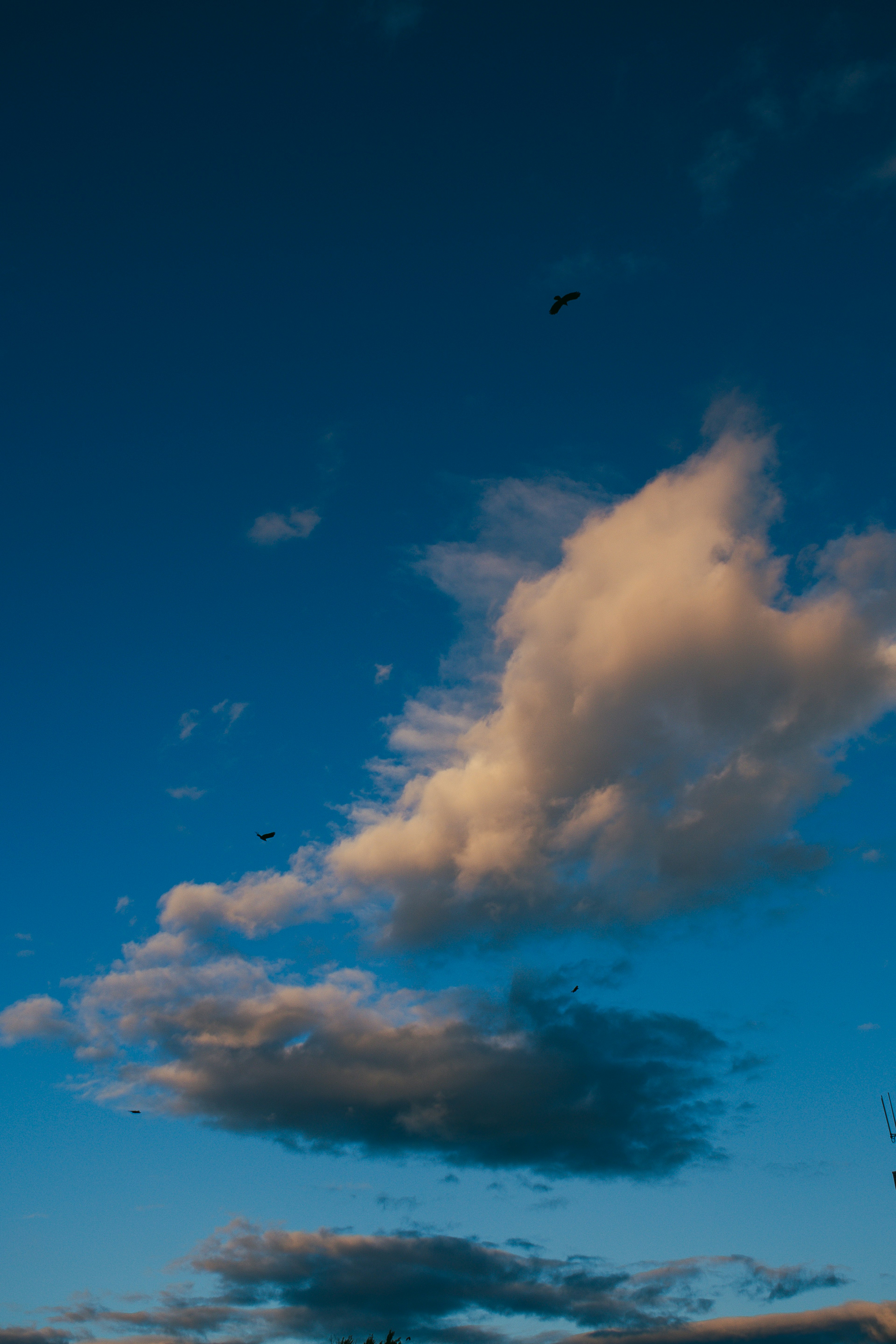 青空に浮かぶ白い雲と薄い雲