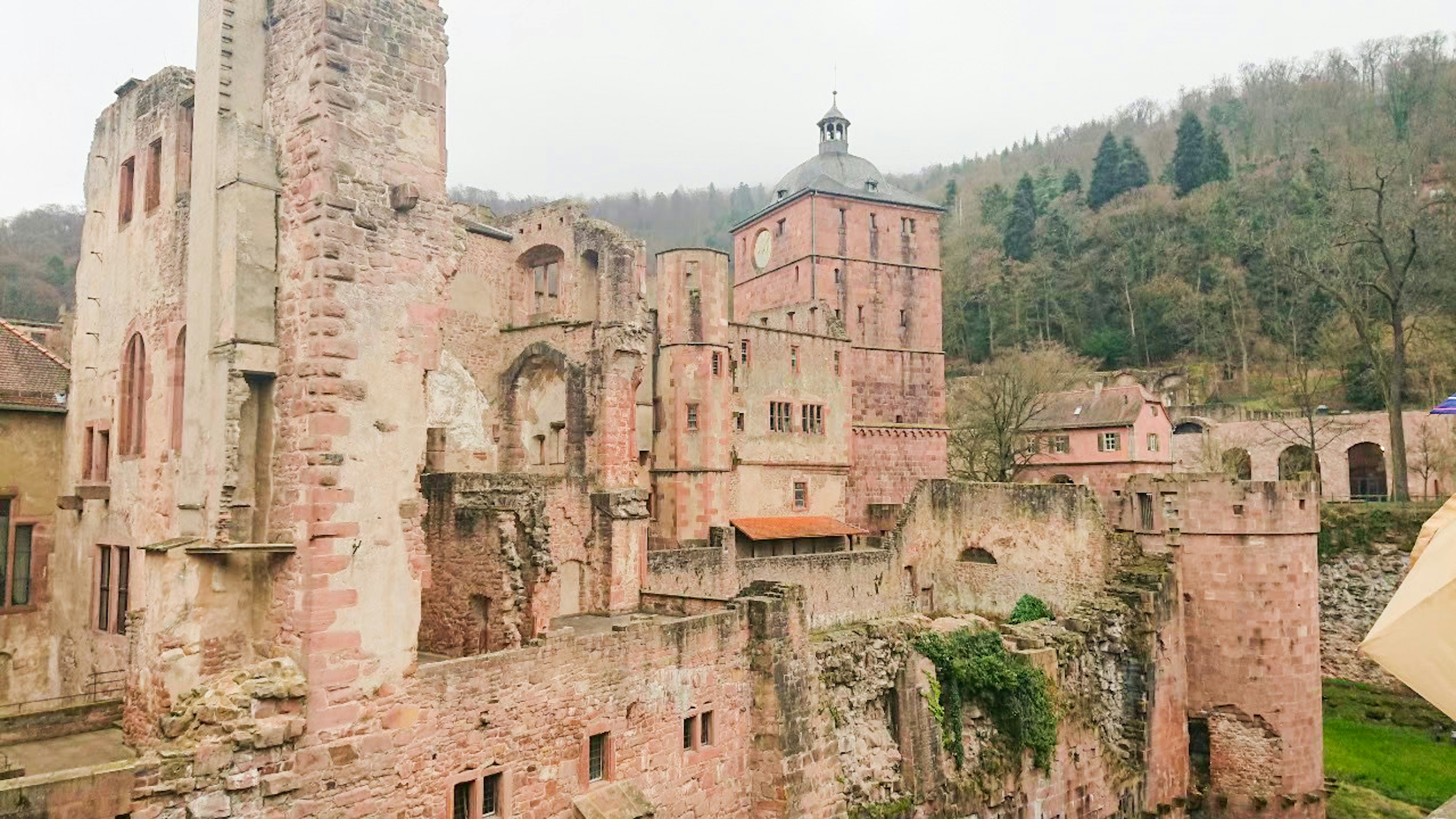 Rovine di un antico castello circondate da una vegetazione lussureggiante e nebbia