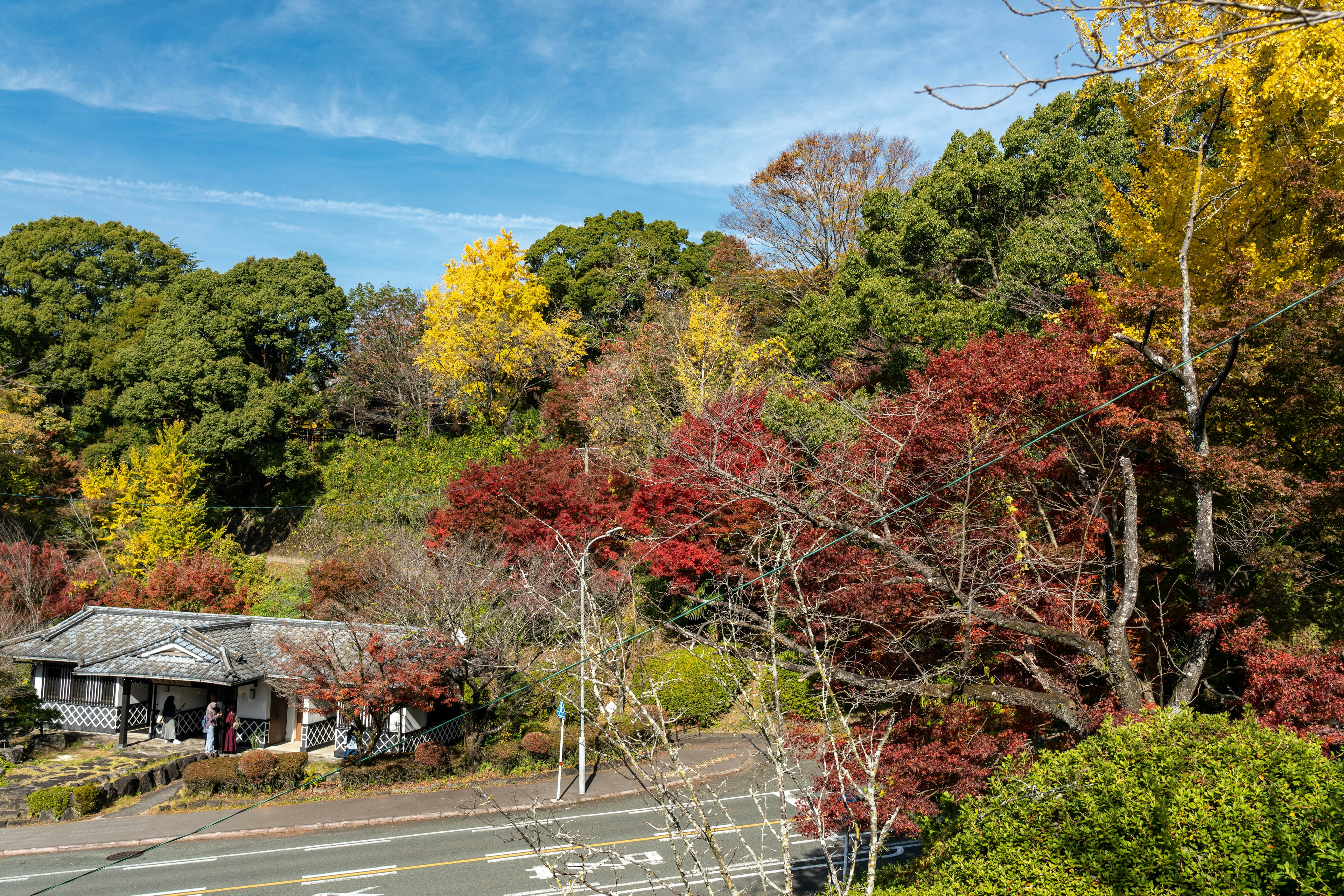 Vista escénica de una antigua casa japonesa rodeada de árboles de otoño coloridos