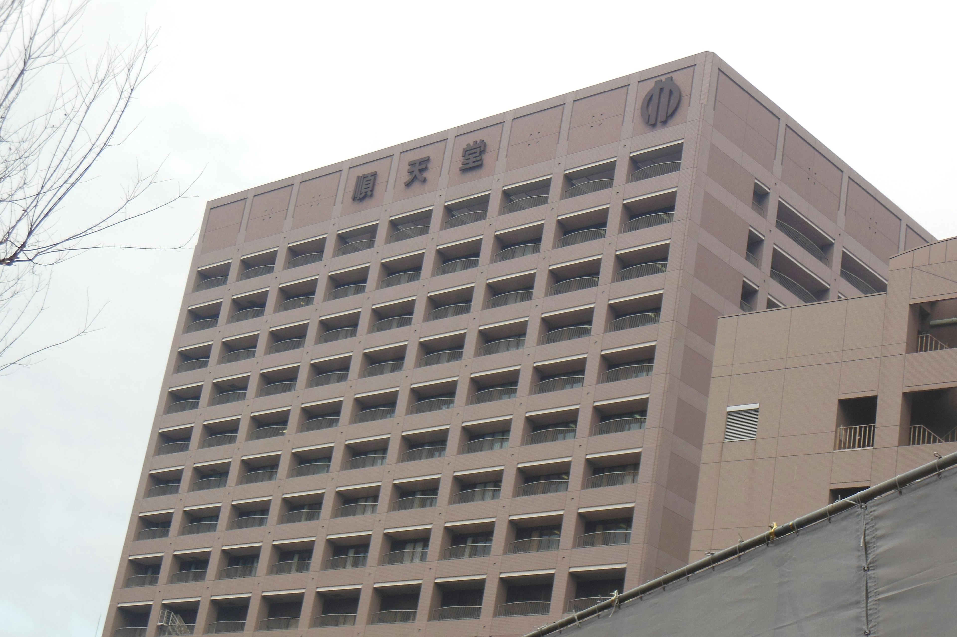 Exterior de un edificio con varias ventanas fachada de color claro y un logo en la parte superior