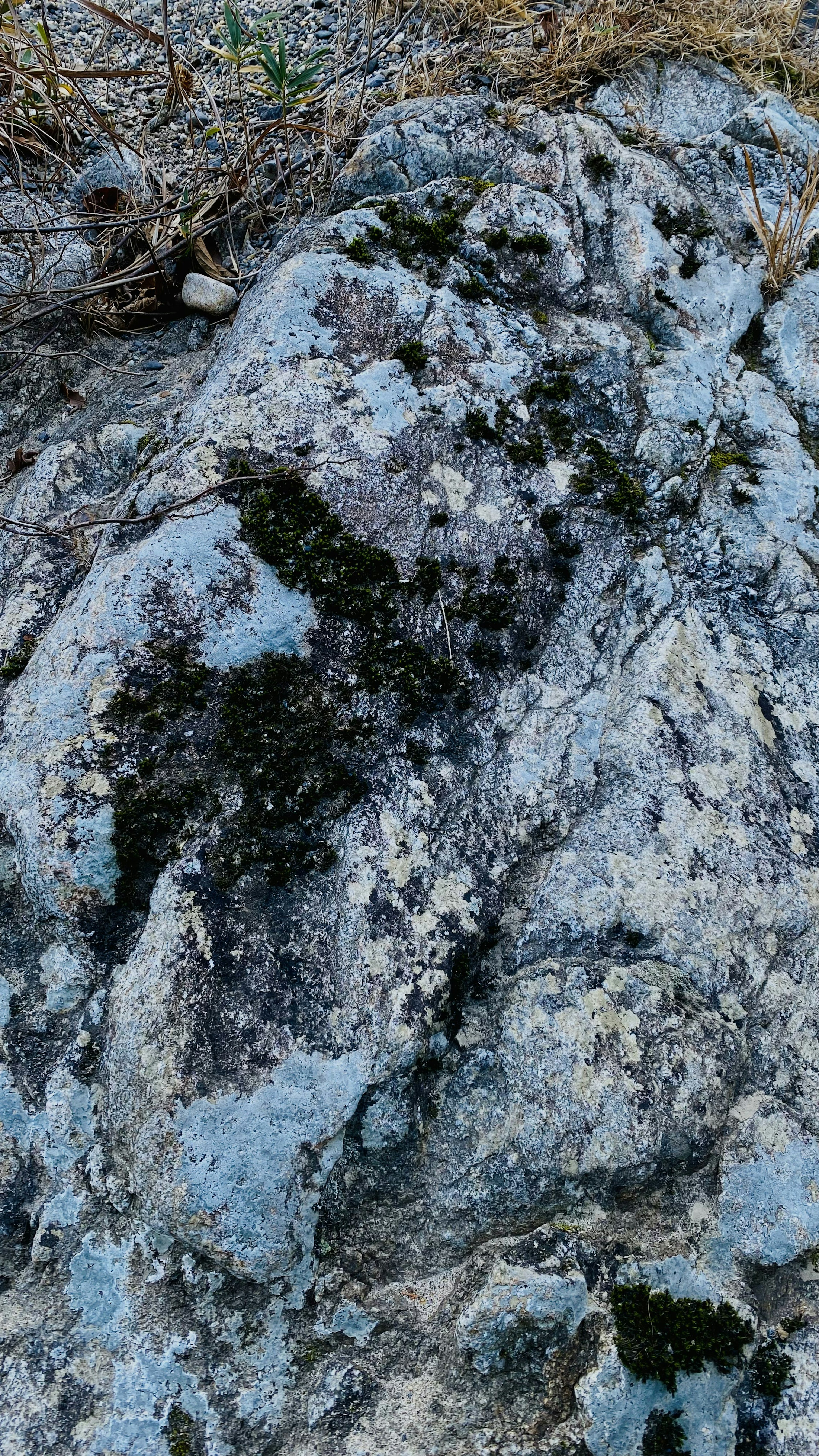 Natural landscape featuring a blue rock covered in moss