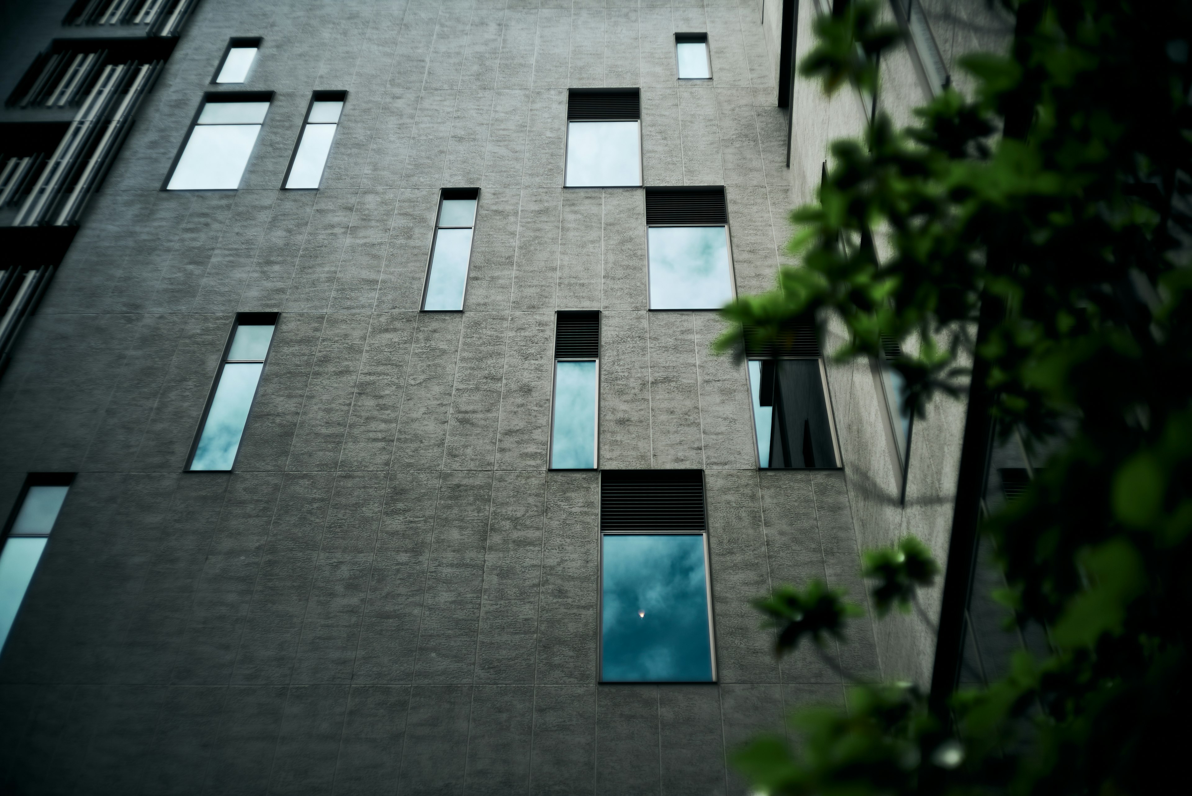 Fachada de edificio moderno con disposición irregular de ventanas y hojas verdes