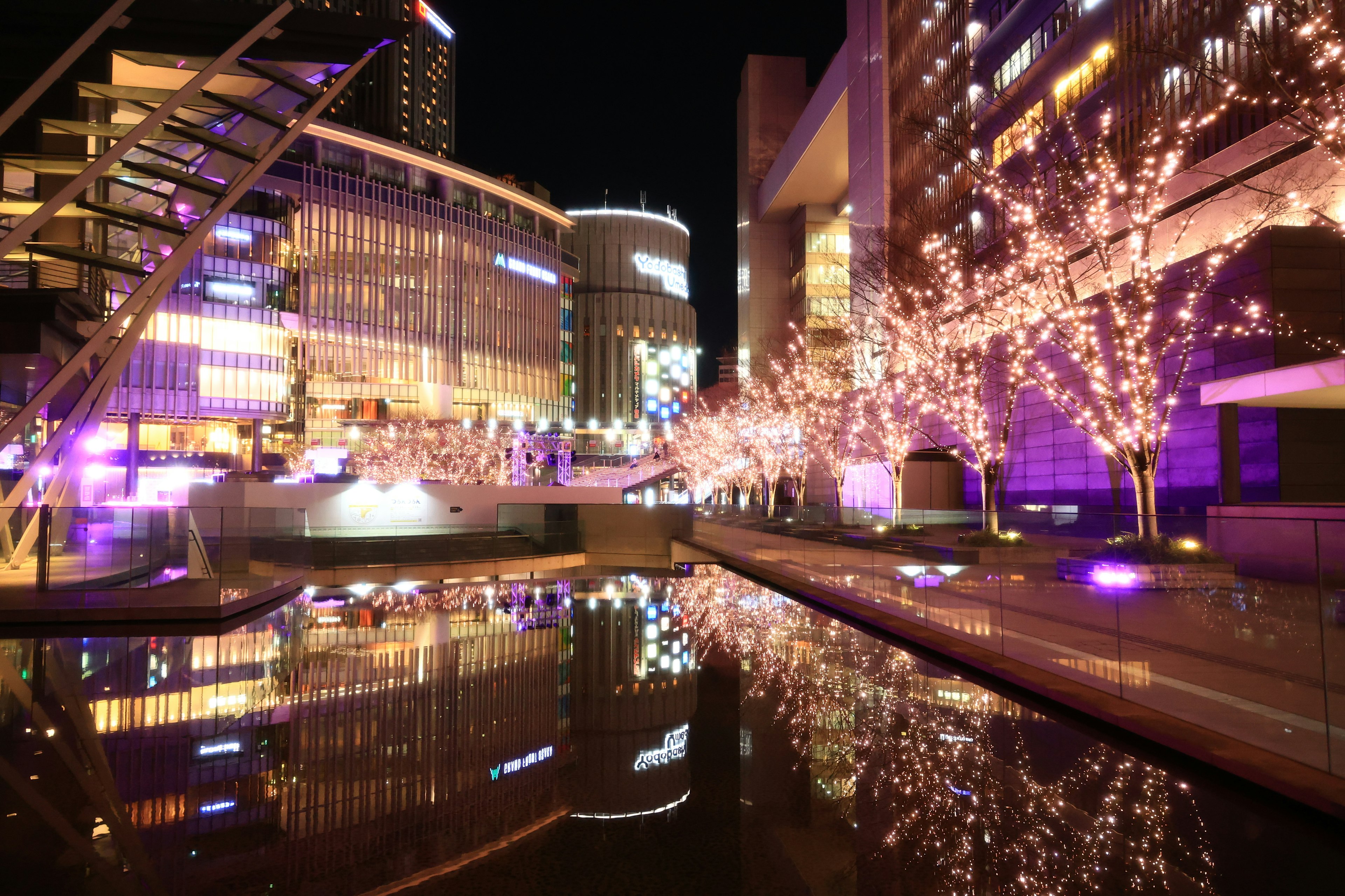 Paisaje urbano nocturno con árboles iluminados y edificios reflejados en el agua