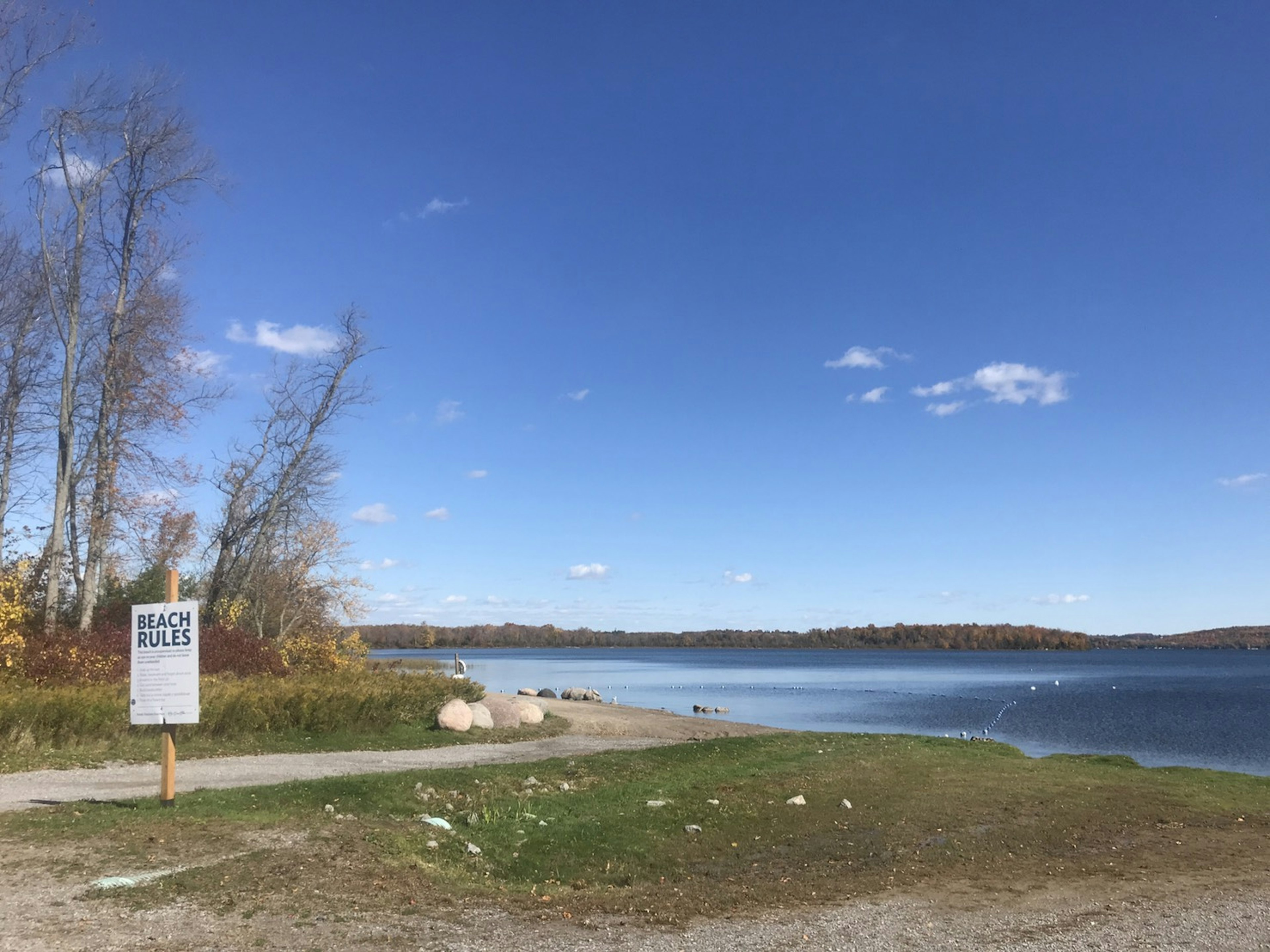 Serene lake view with blue sky visible grass and a sign