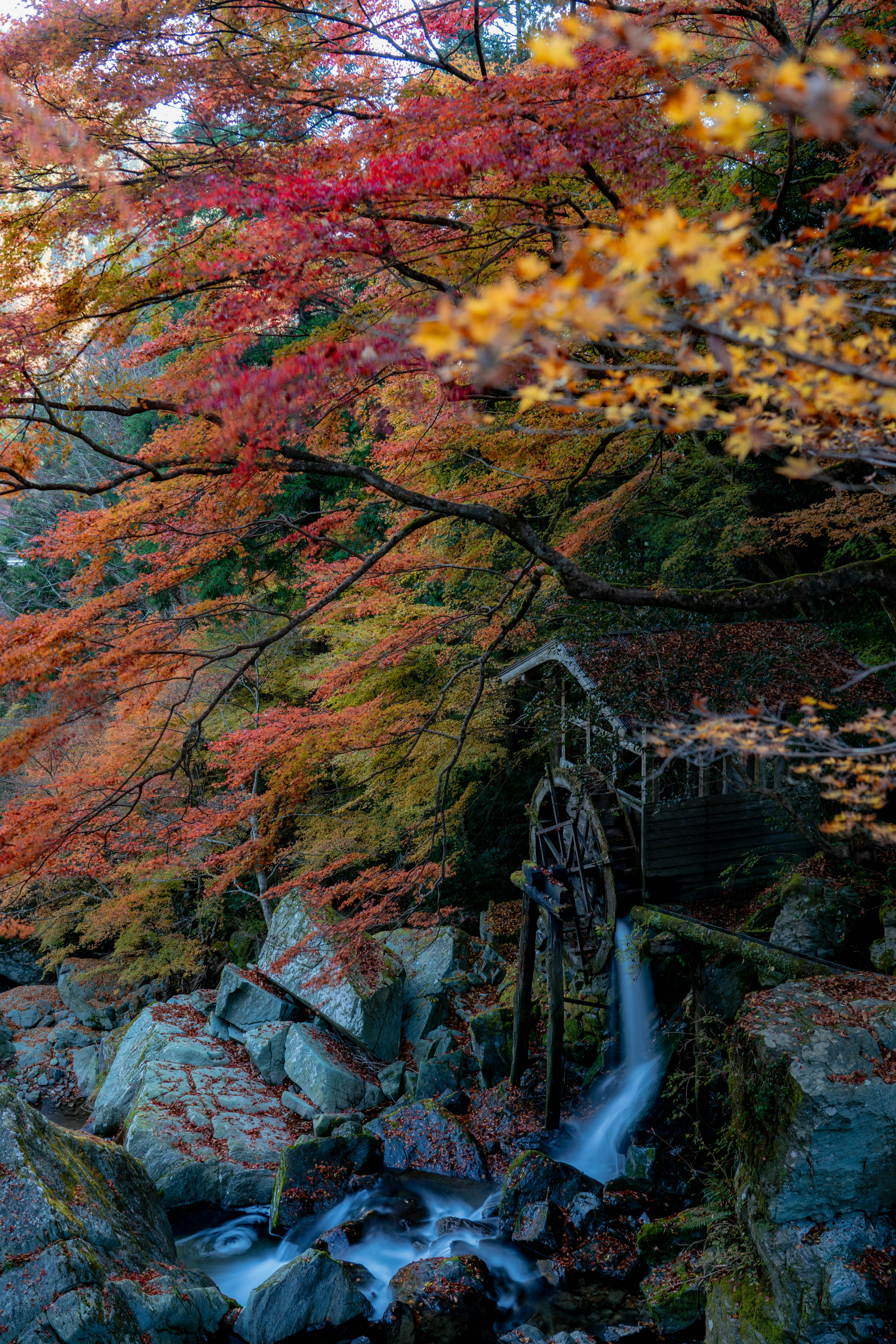 Une scène sereine avec une petite cascade entourée de feuillage d'automne coloré