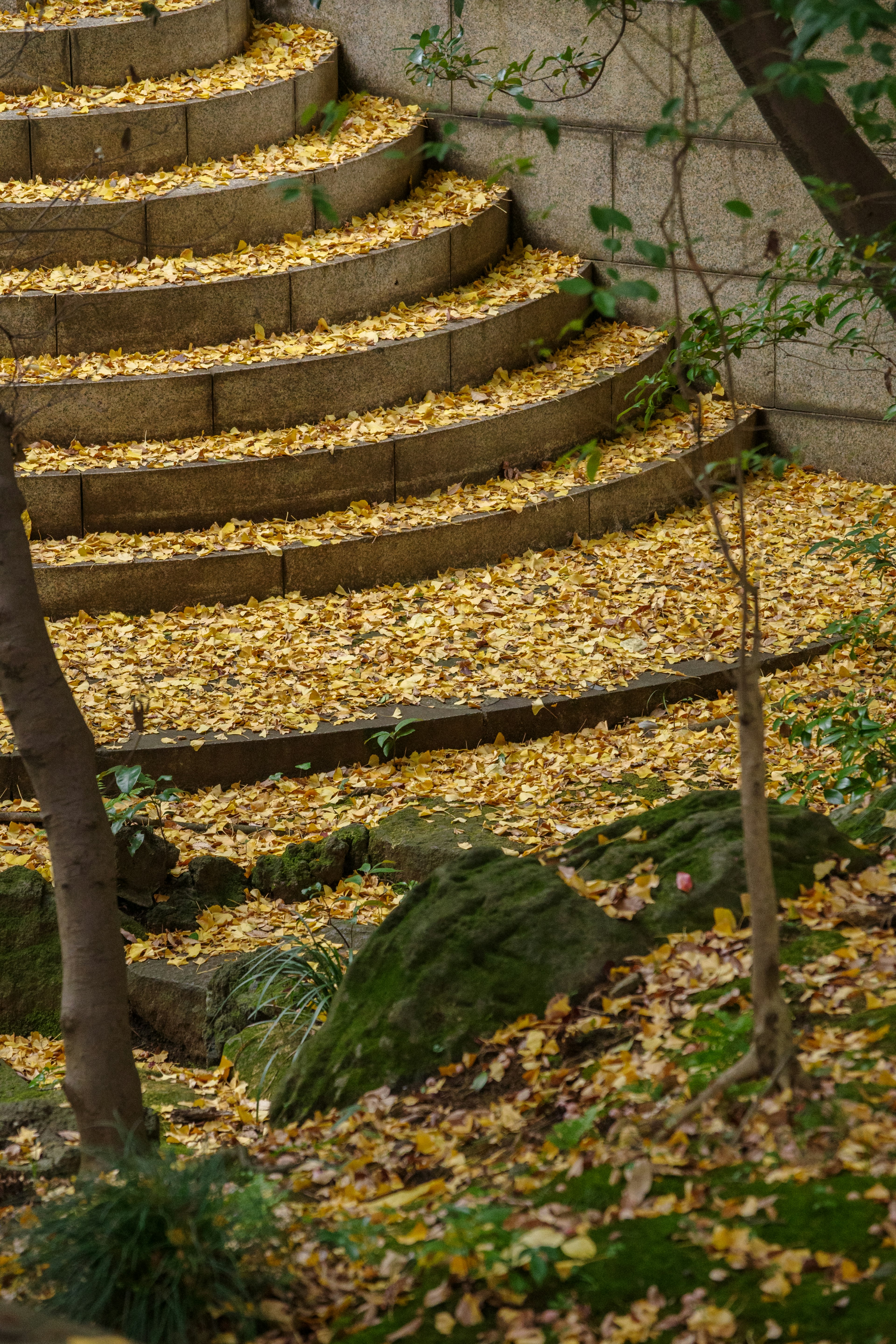 Treppe bedeckt mit gelben Blättern und Steinen