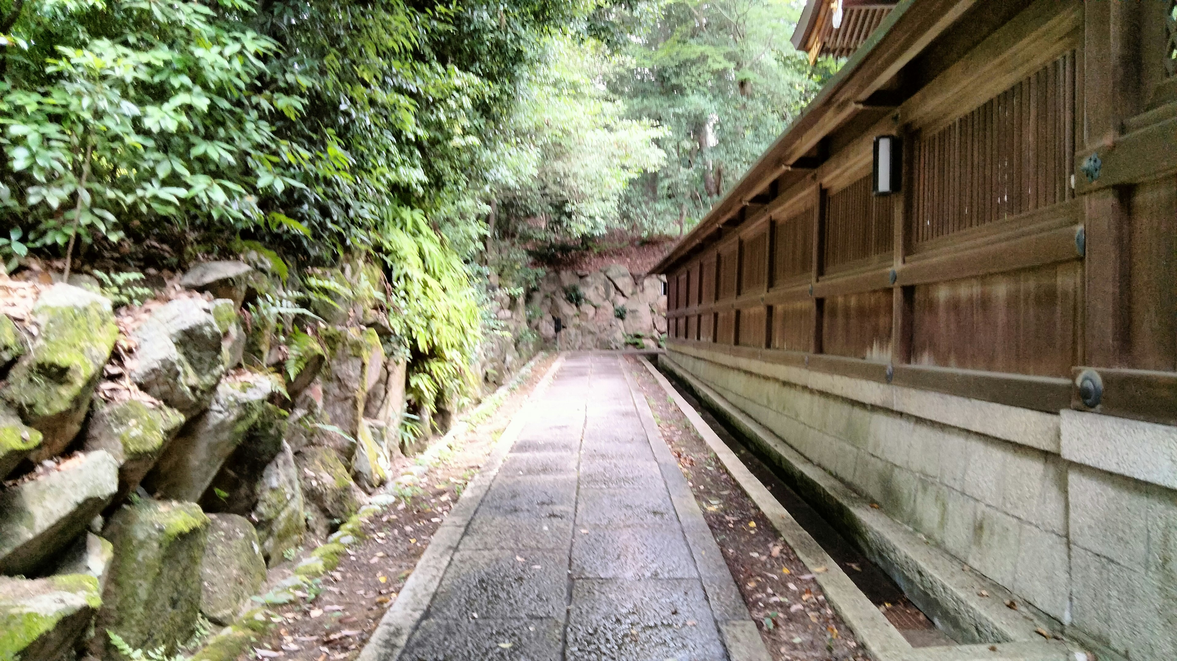 緑に囲まれた静かな小道と木製の壁