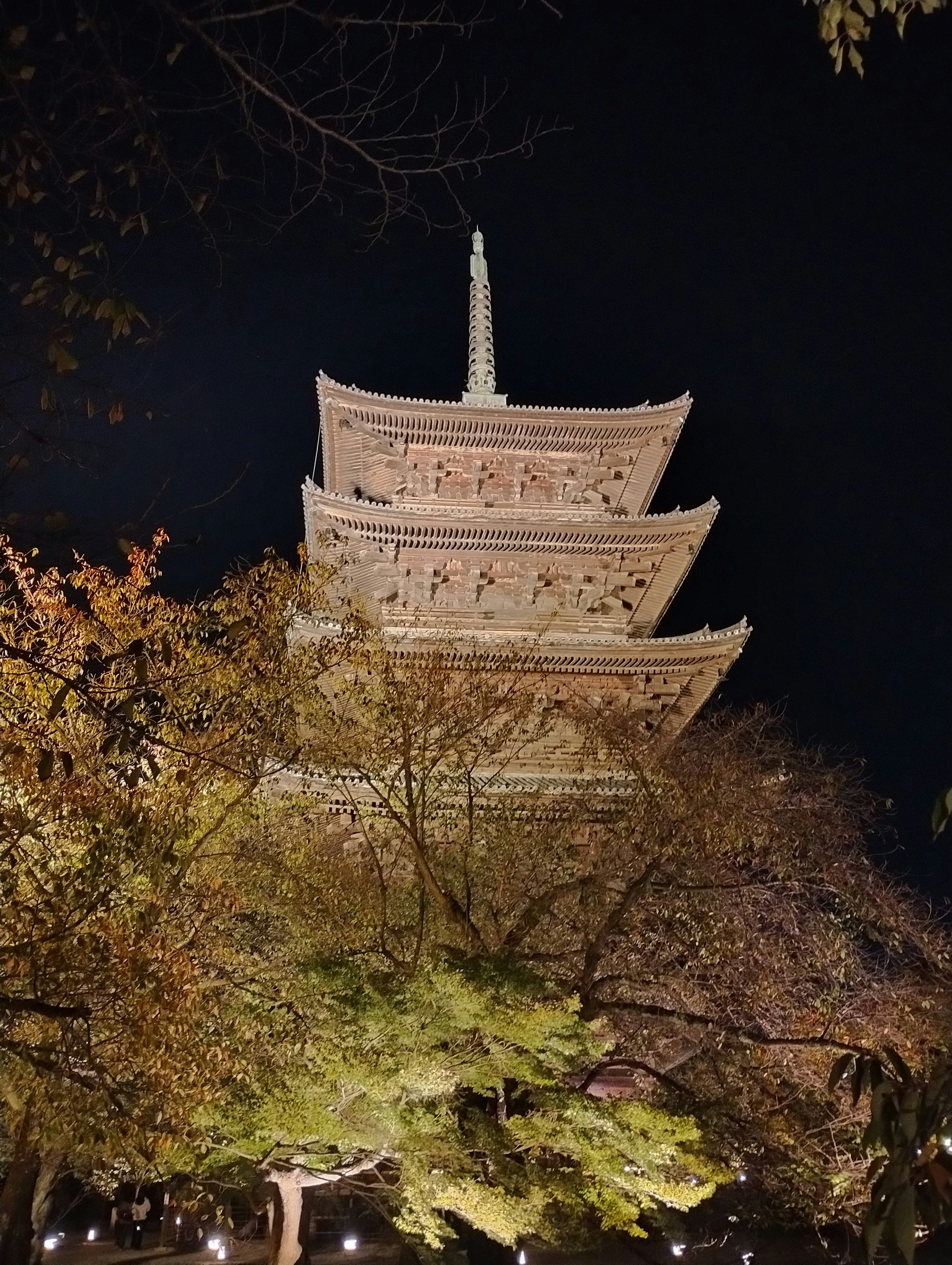 Pagoda de cinco pisos iluminada por la noche rodeada de árboles