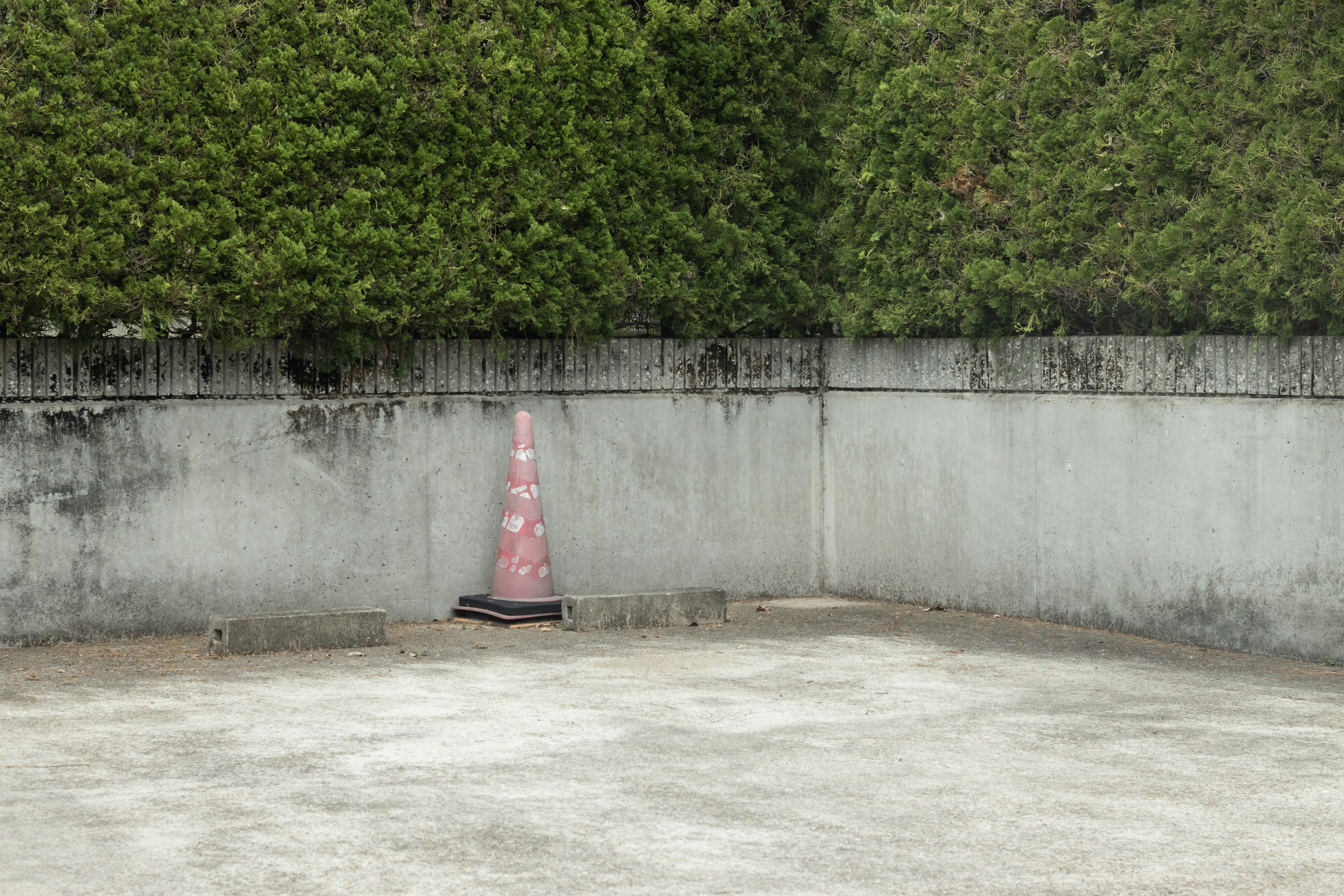 Cono de tráfico rosa en la esquina de un estacionamiento vacío rodeado de una pared de hormigón y un seto verde