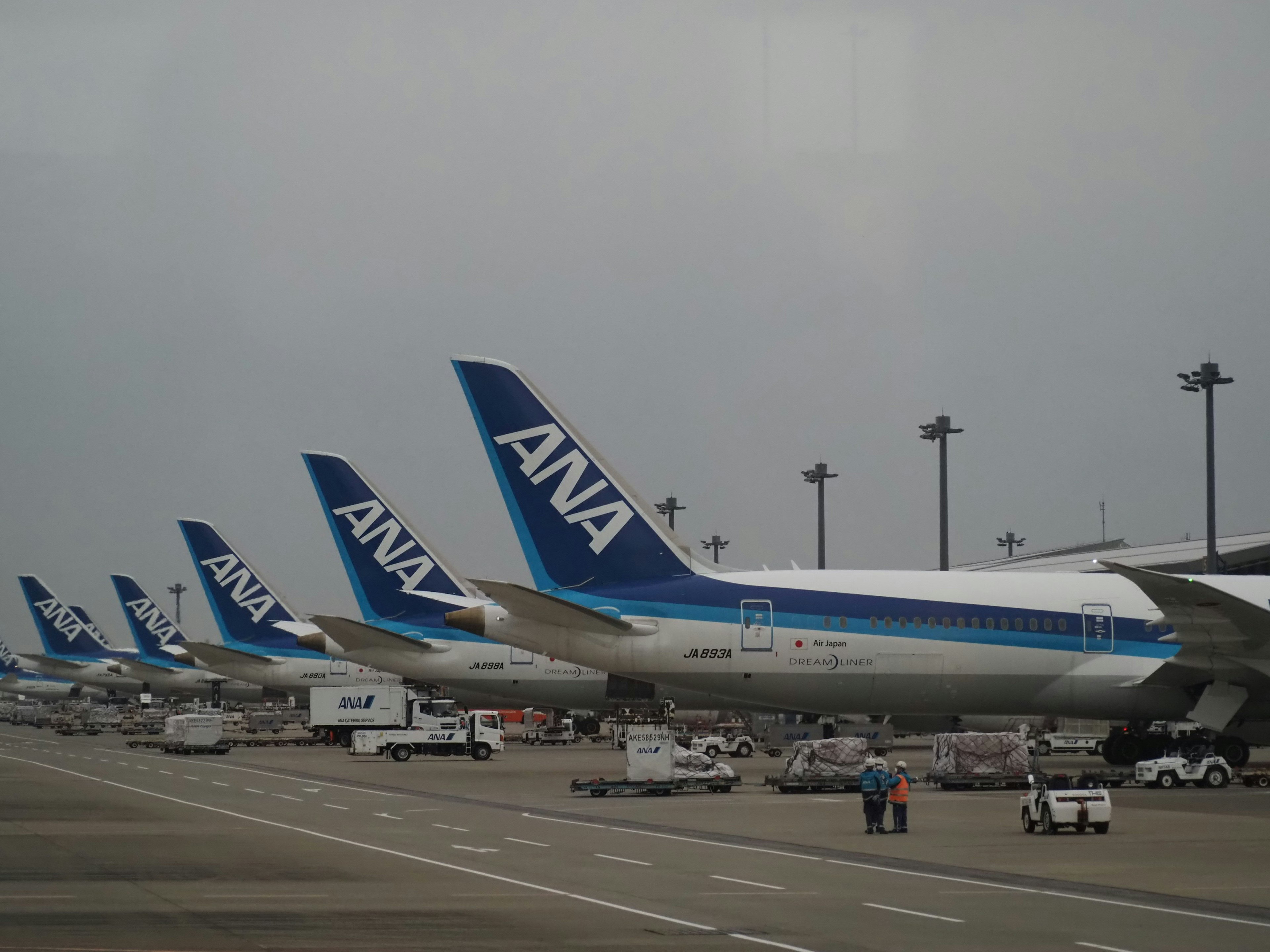 A row of All Nippon Airways planes at the airport