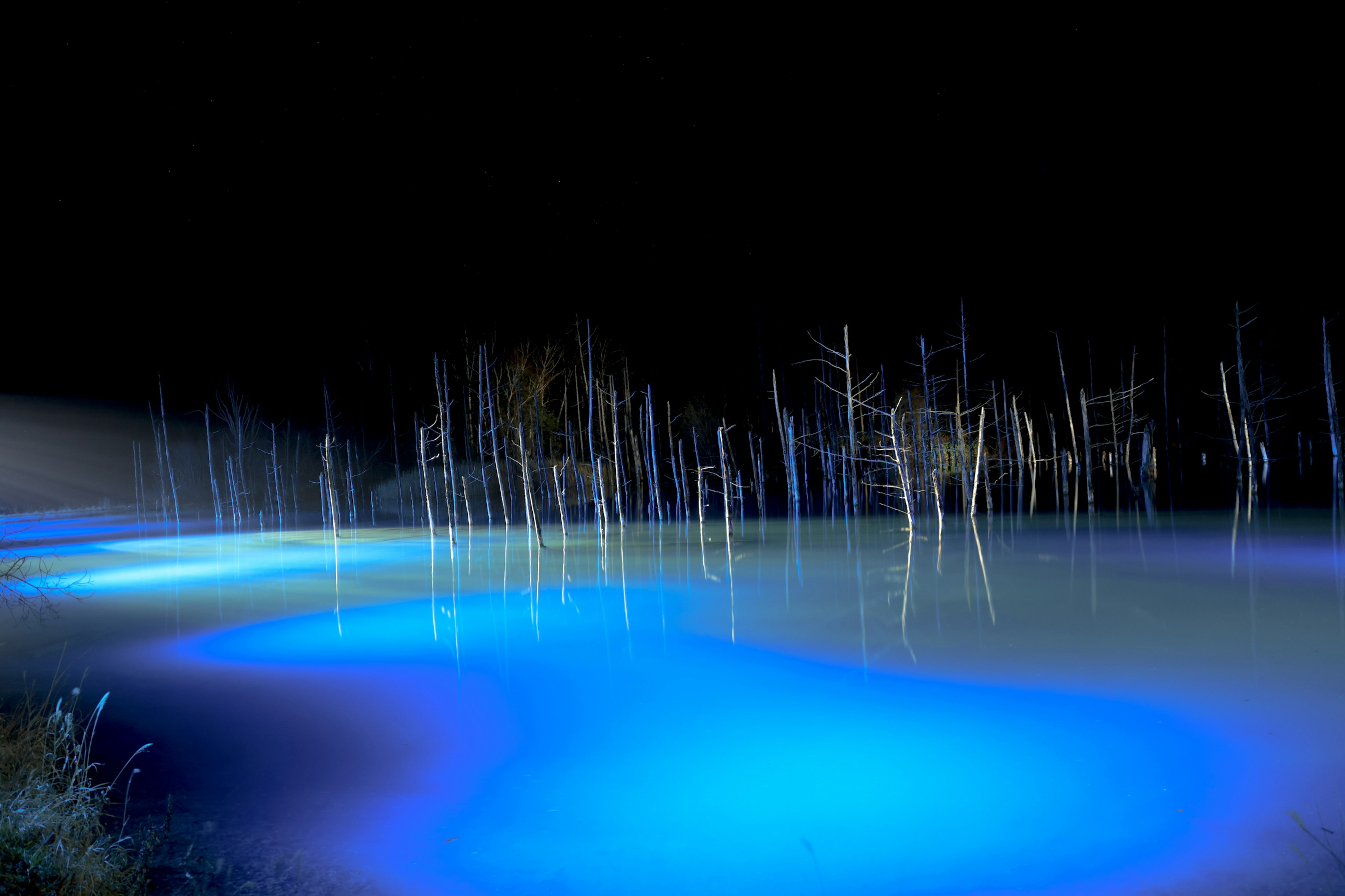 Schatten von Bäumen auf einer blauen Wasseroberfläche bei Nacht