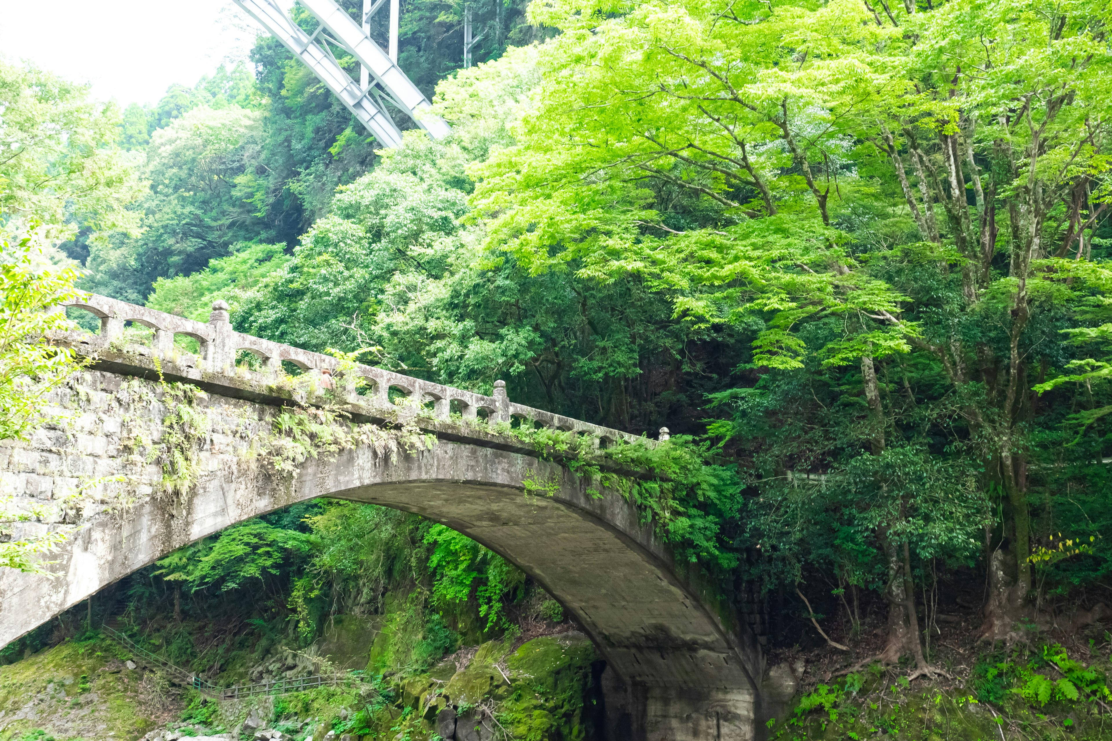 สะพานหินเก่าโอบล้อมด้วยพืชพรรณเขียวขจีและทิวทัศน์ธรรมชาติ