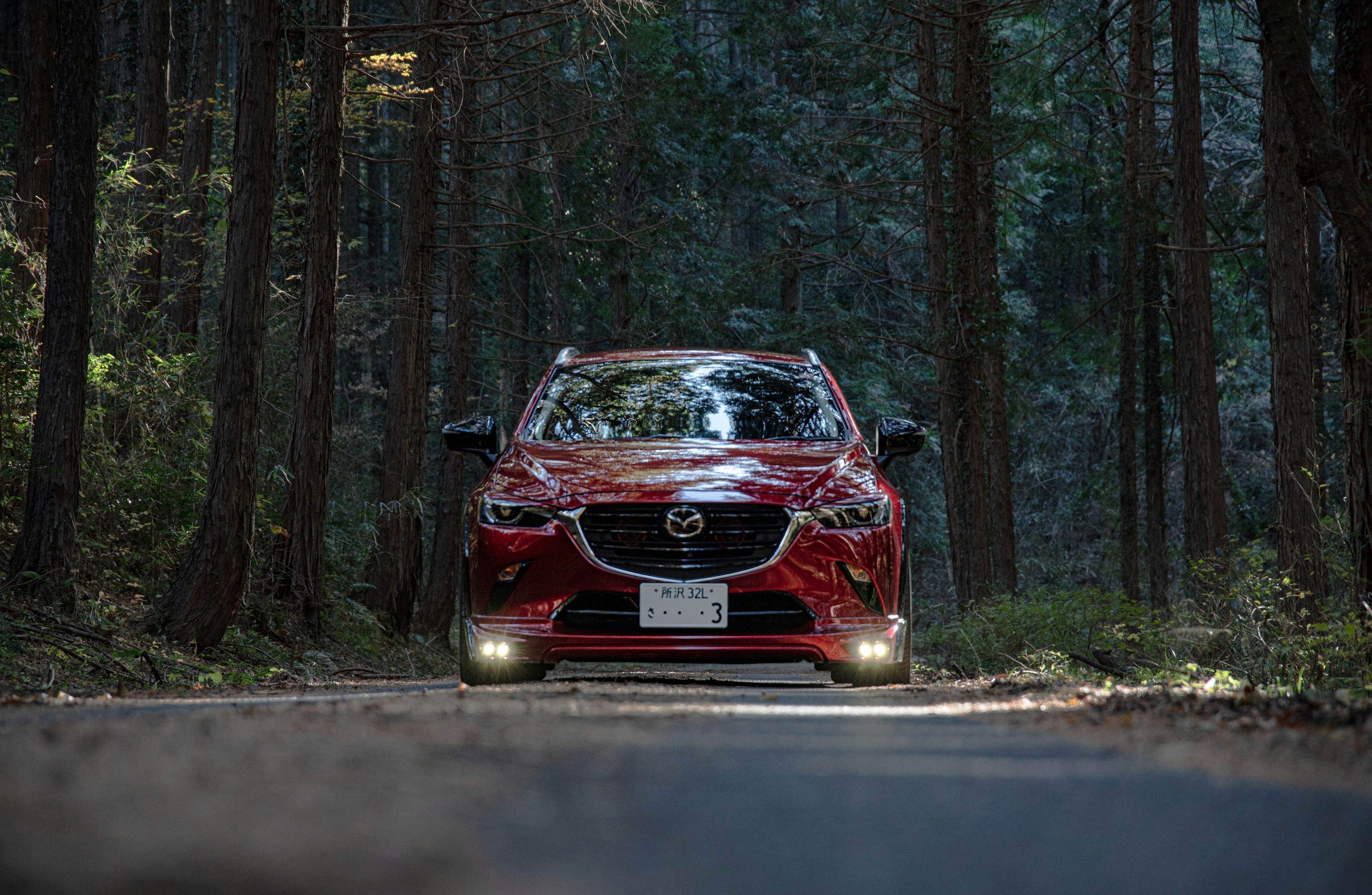 Voiture rouge garée sur une route dans la forêt