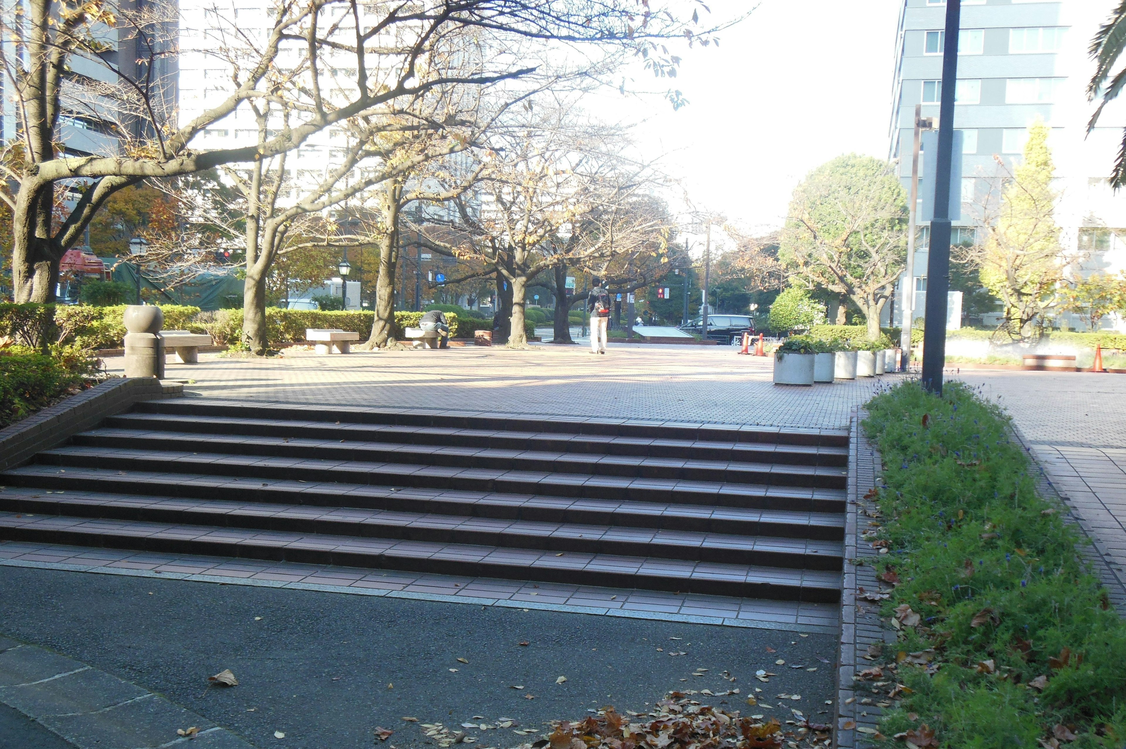 Ruhige Parkszenen mit Steinstufen und umgebenden Bäumen