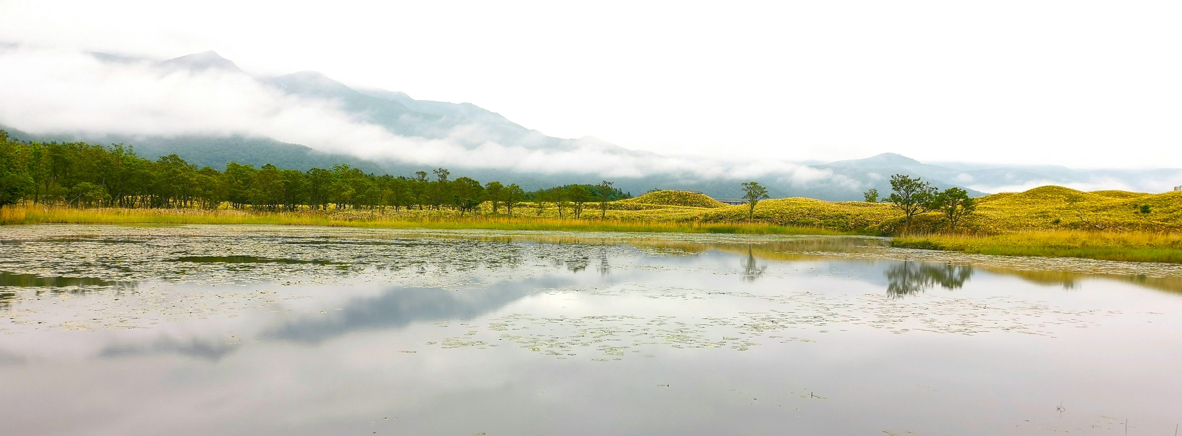 Calm lake reflecting mountains and green landscape