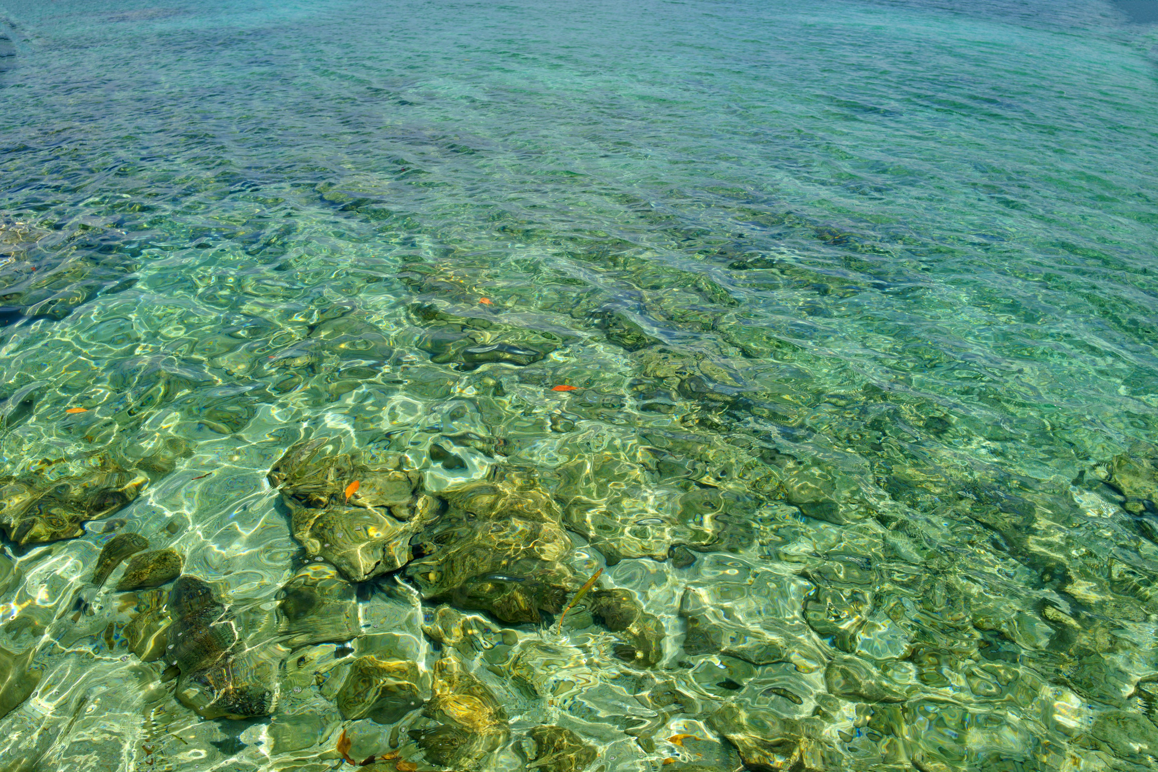 Clear water revealing rocks and corals beneath the surface