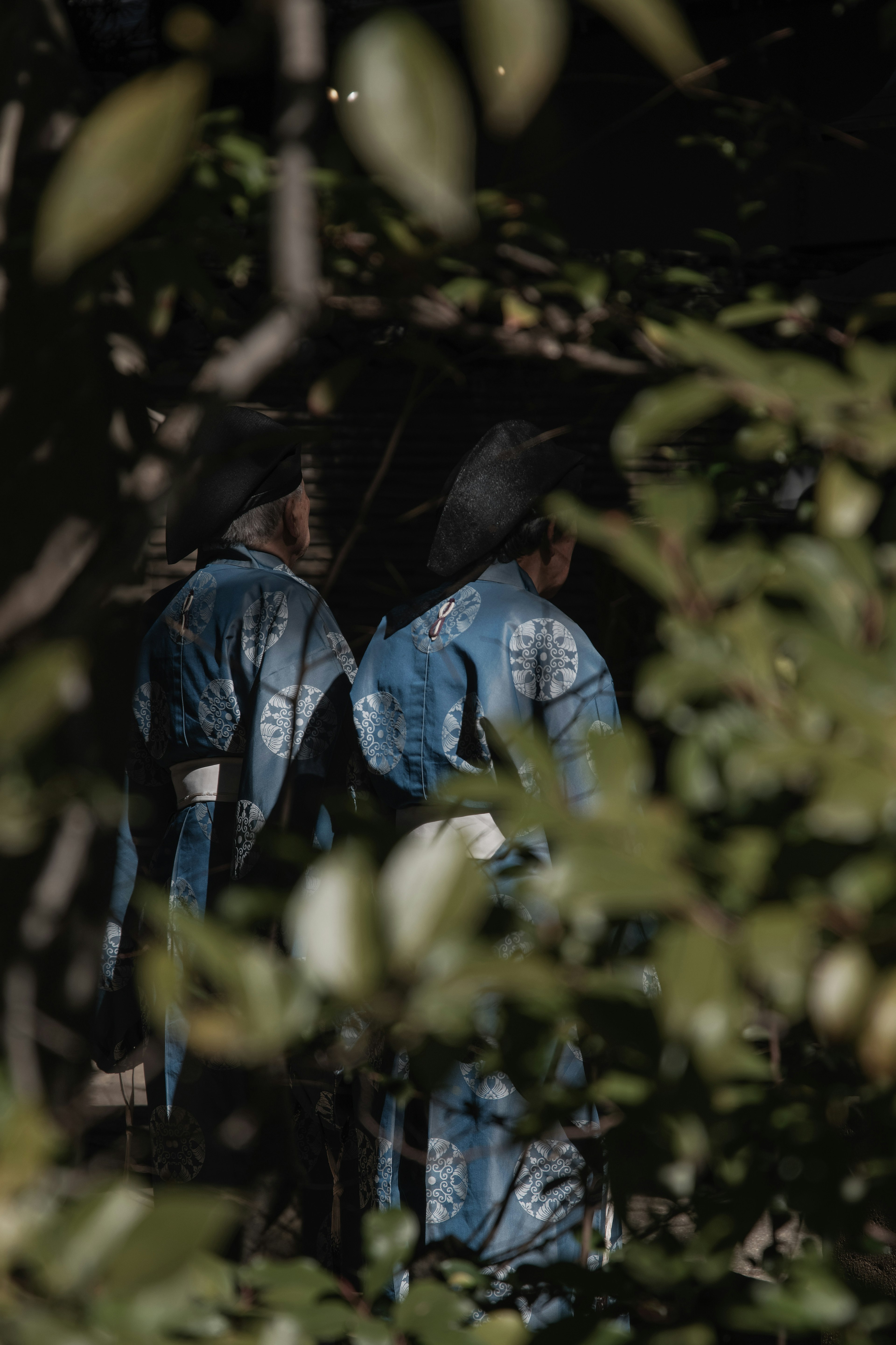 Deux silhouettes en vêtements bleus partiellement visibles à travers le feuillage