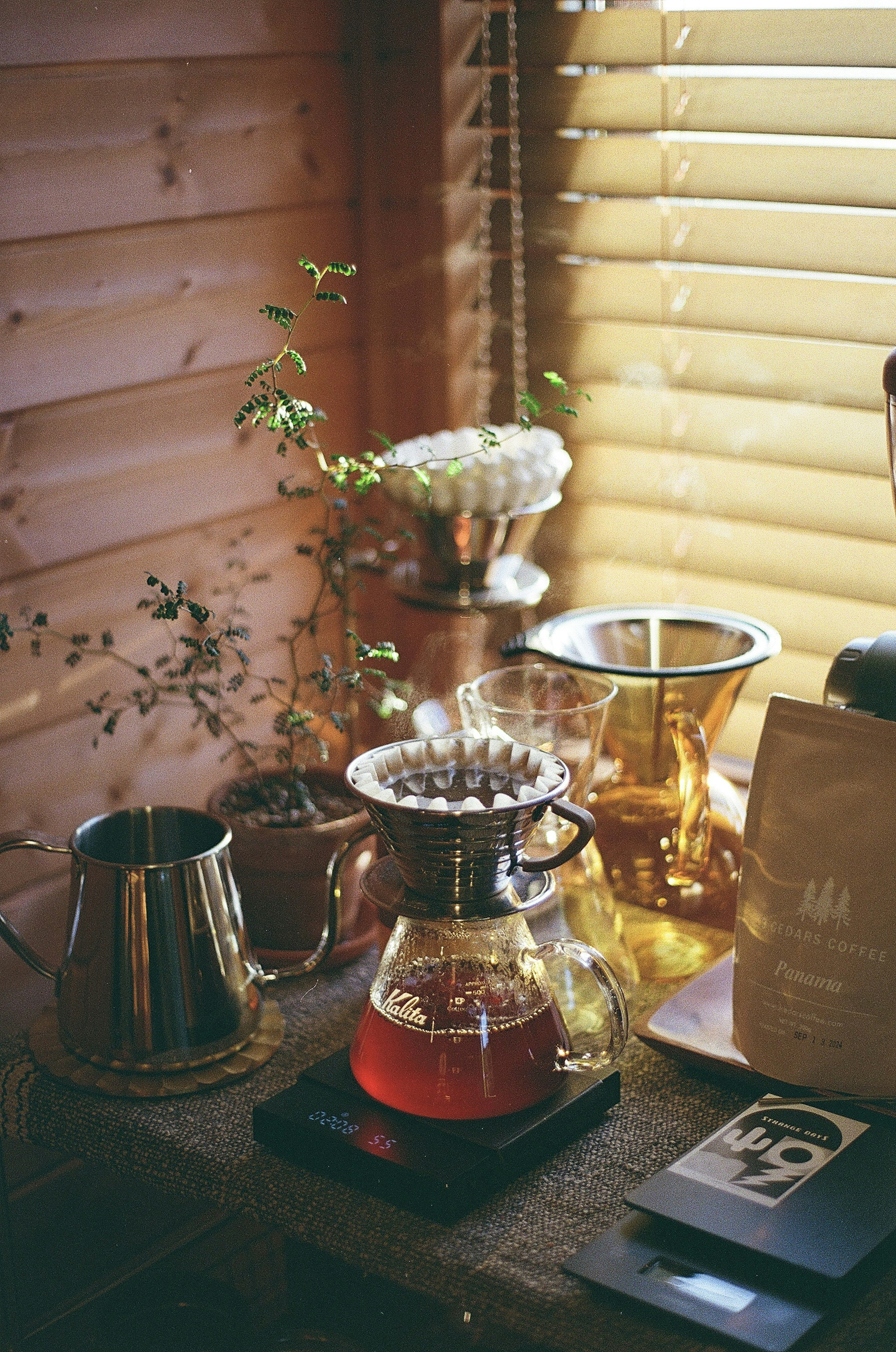 Warm wooden counter with coffee brewing equipment and plants