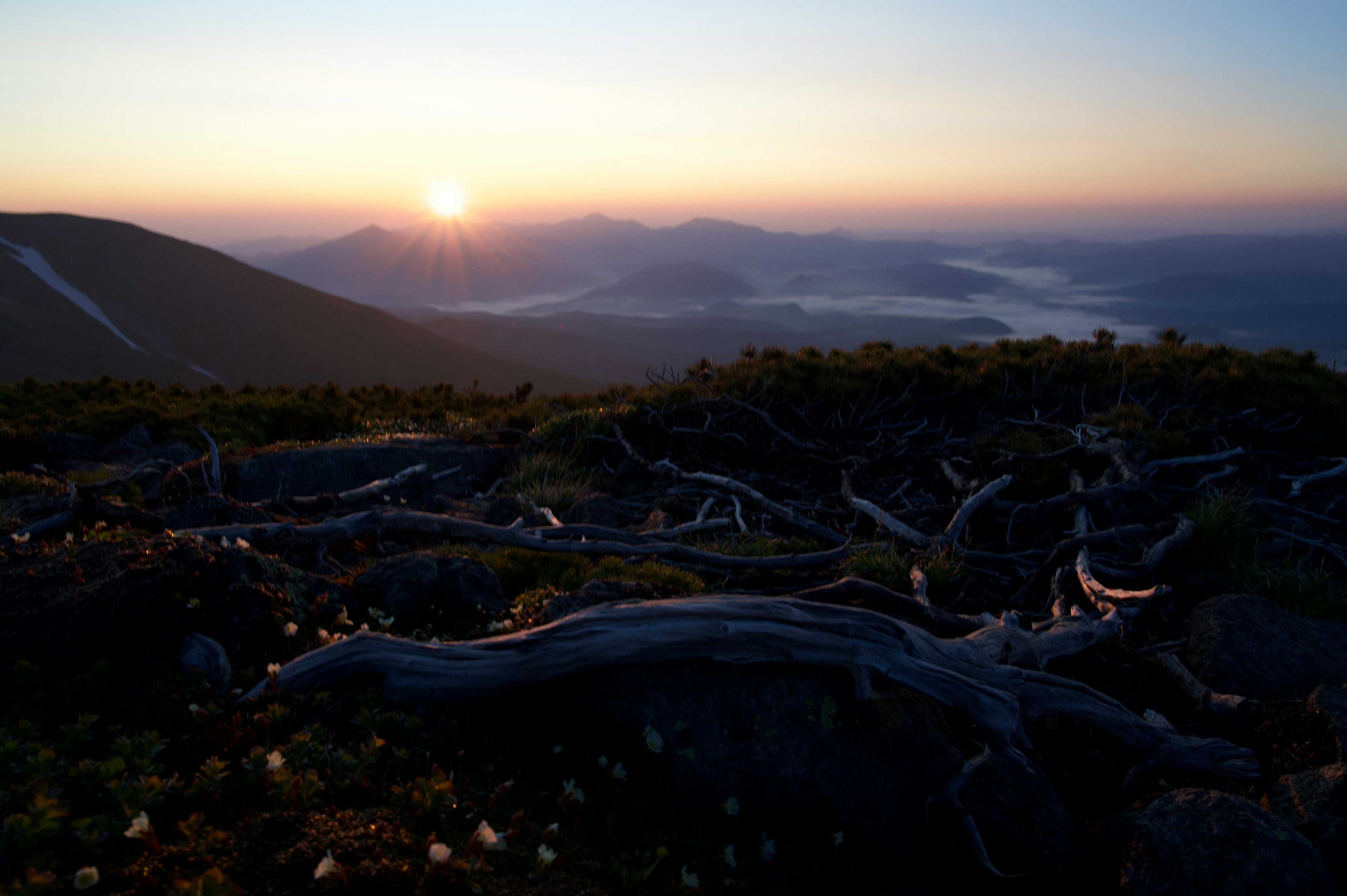 Scenic view of mountains at sunrise with fallen trees