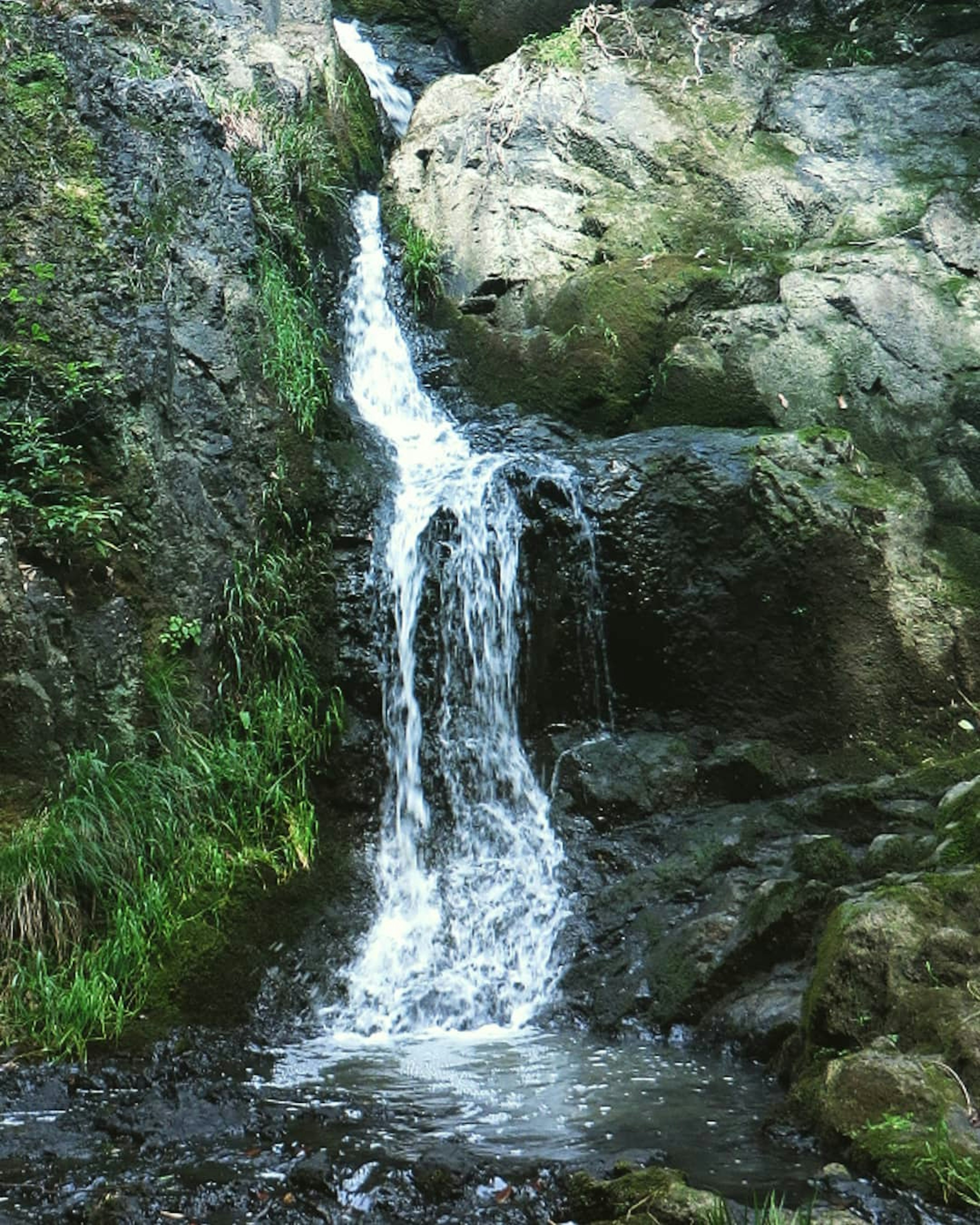 Air terjun kecil mengalir di atas batu dikelilingi oleh vegetasi yang subur