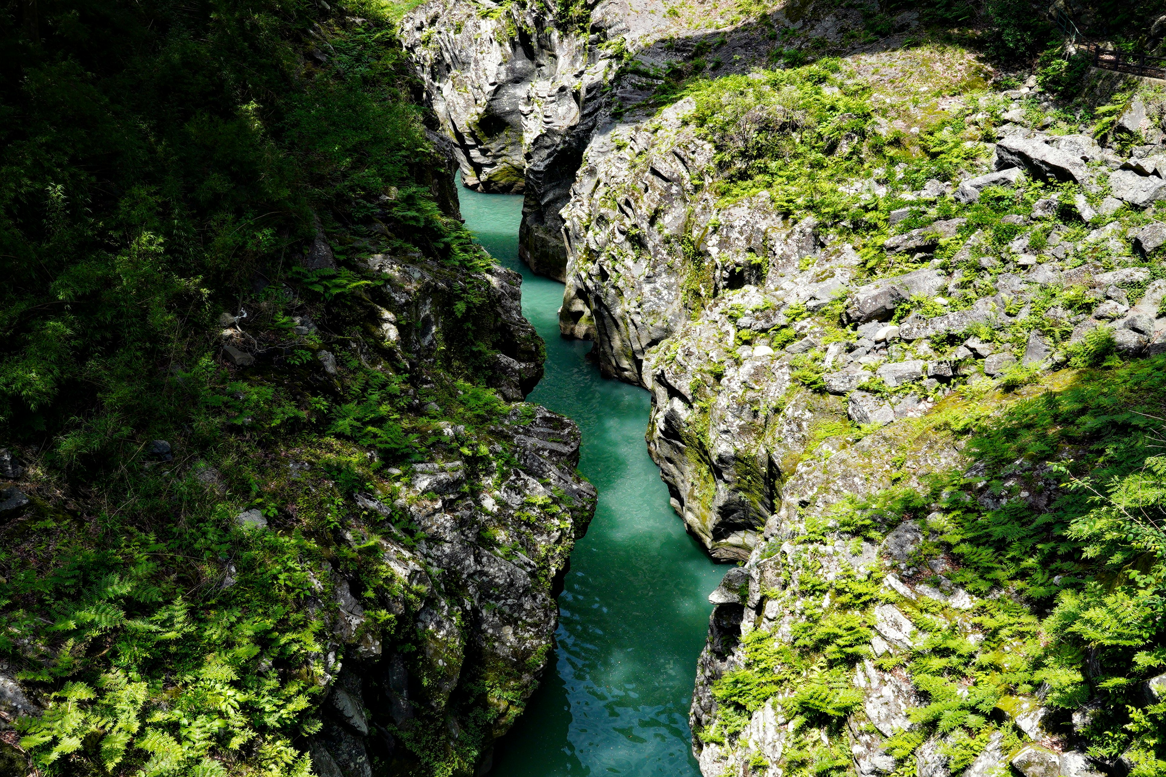 Vista panoramica di un canyon con acqua turchese circondata da vegetazione lussureggiante