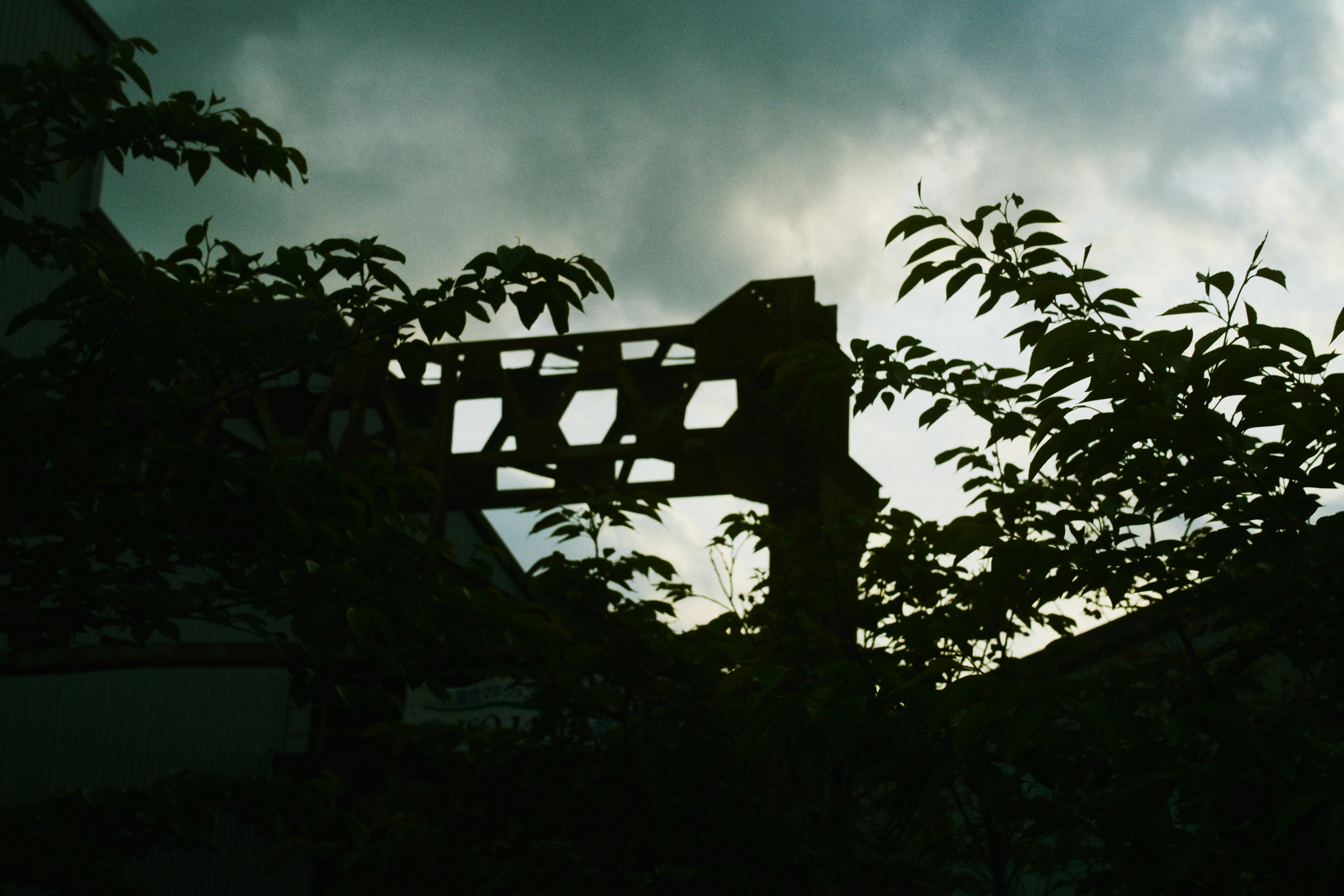 Silhouette di un vecchio ponte visibile tra gli alberi con nuvole scure