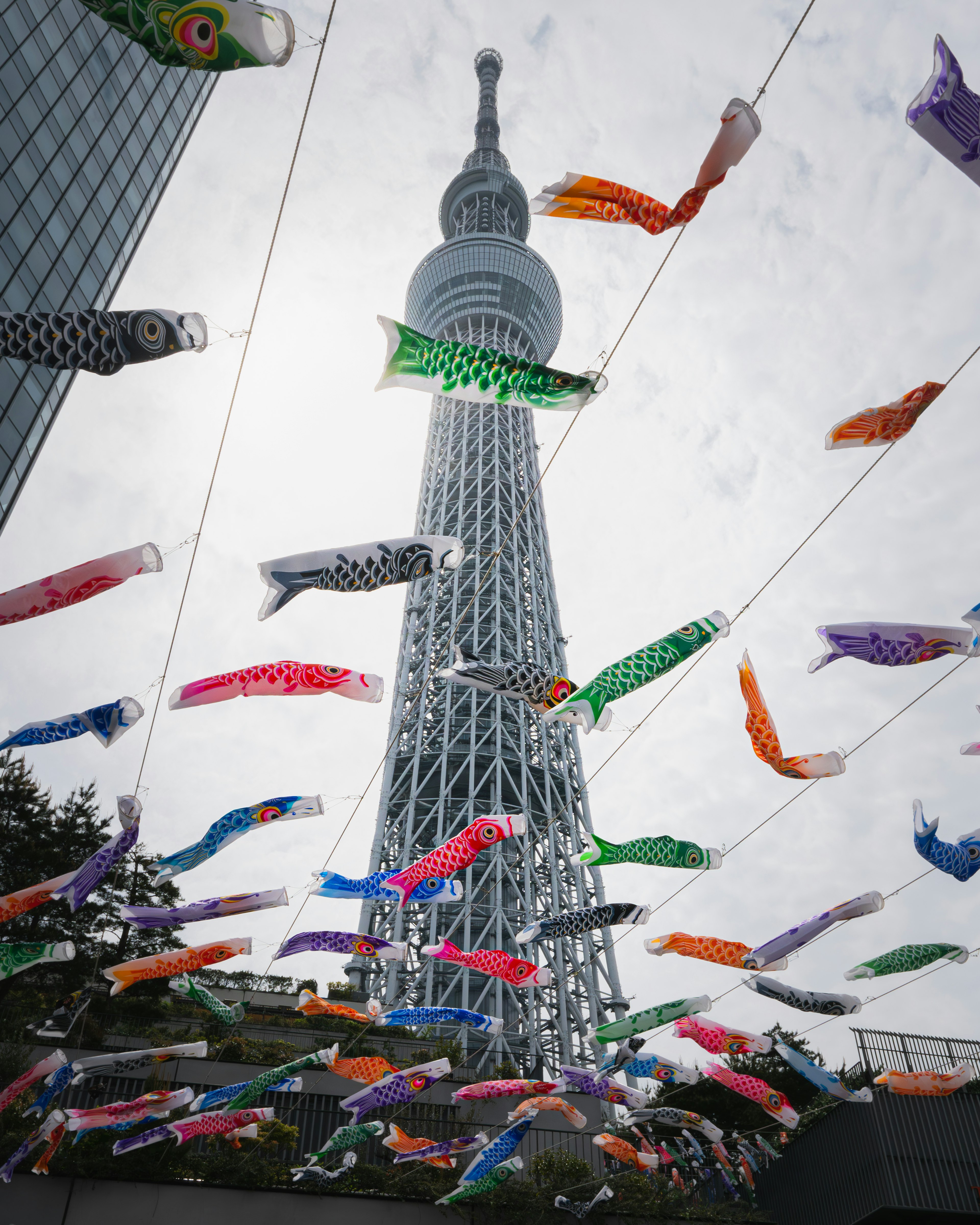 東京晴空塔與五彩斑斕的鯉魚旗裝飾