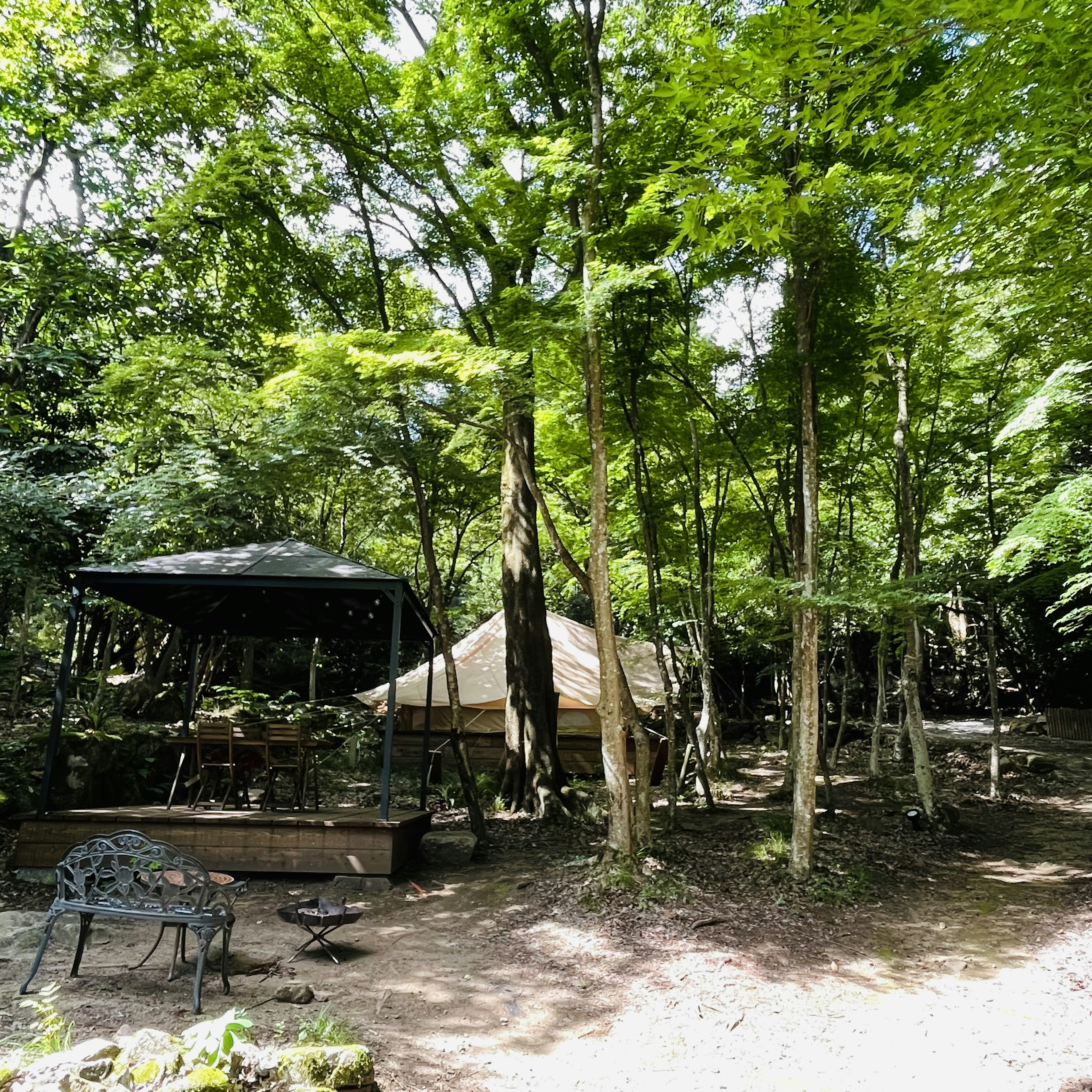 Un espacio de descanso con una tienda en un bosque frondoso