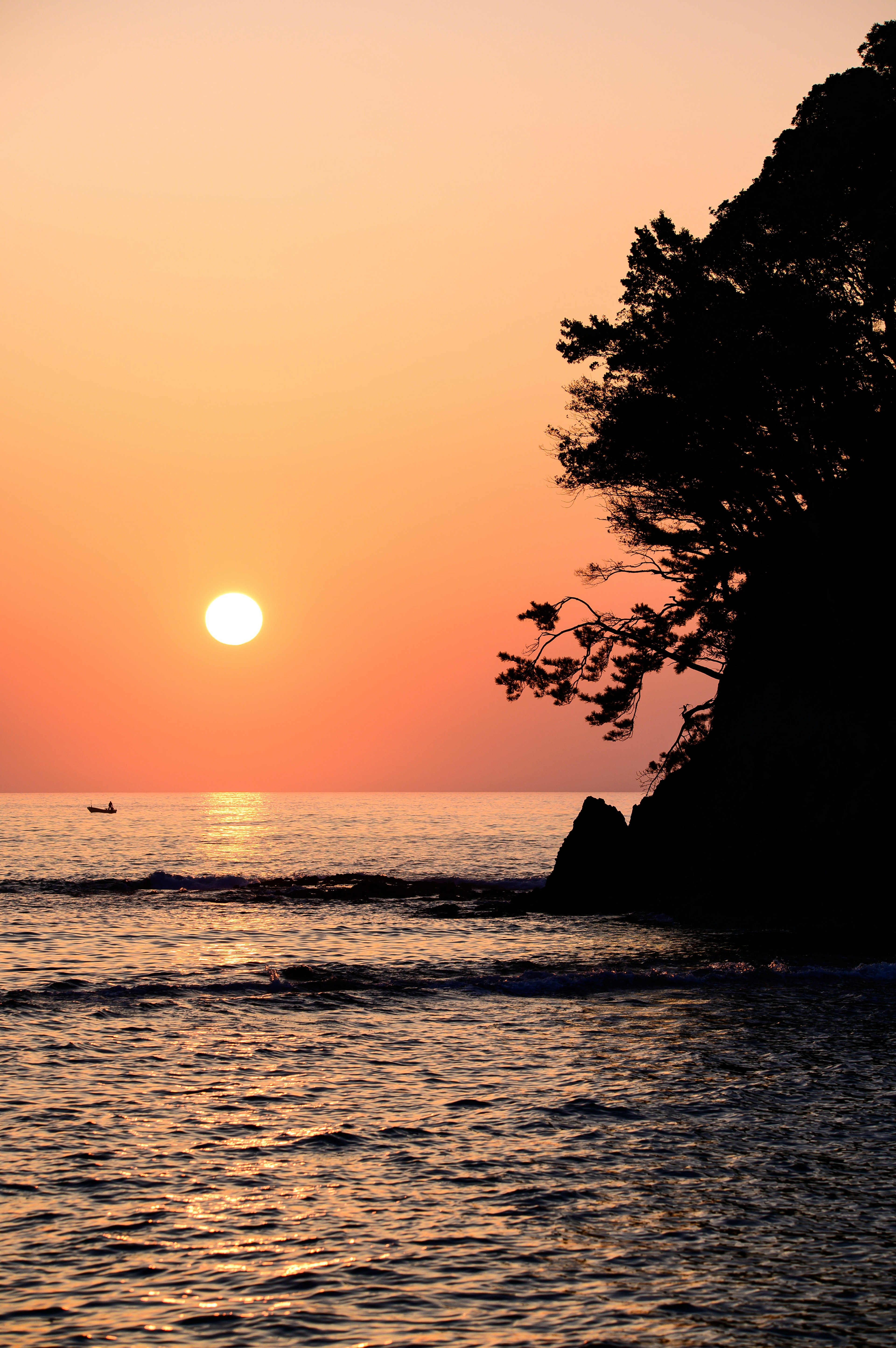 夕日が海に沈む美しい風景、シルエットの木、穏やかな波