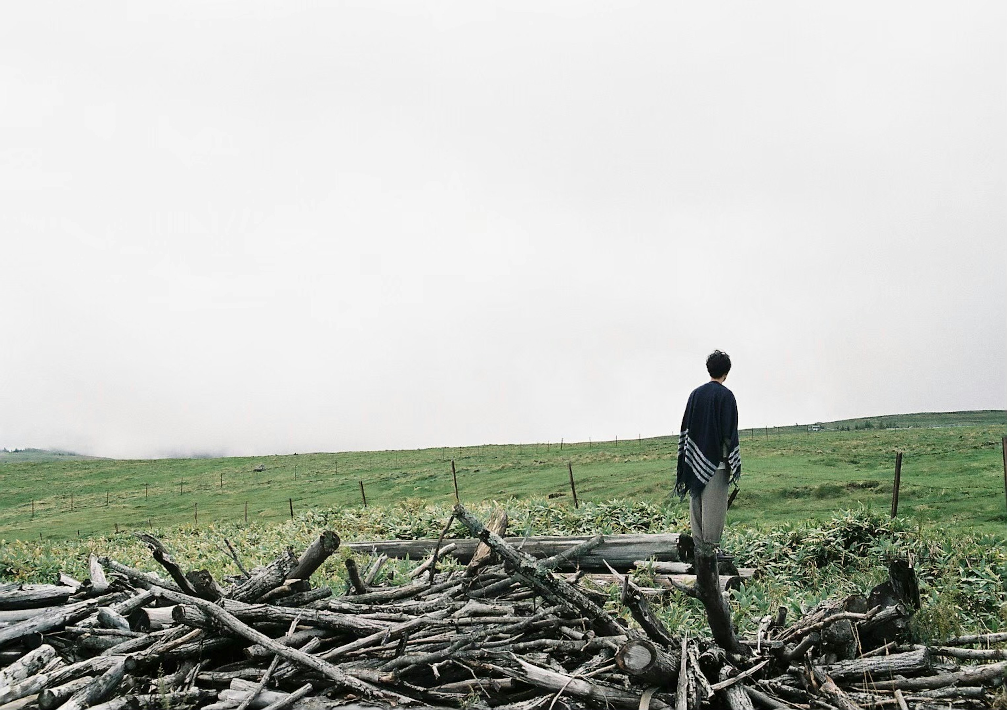 Person standing on a pile of branches in a grassy field