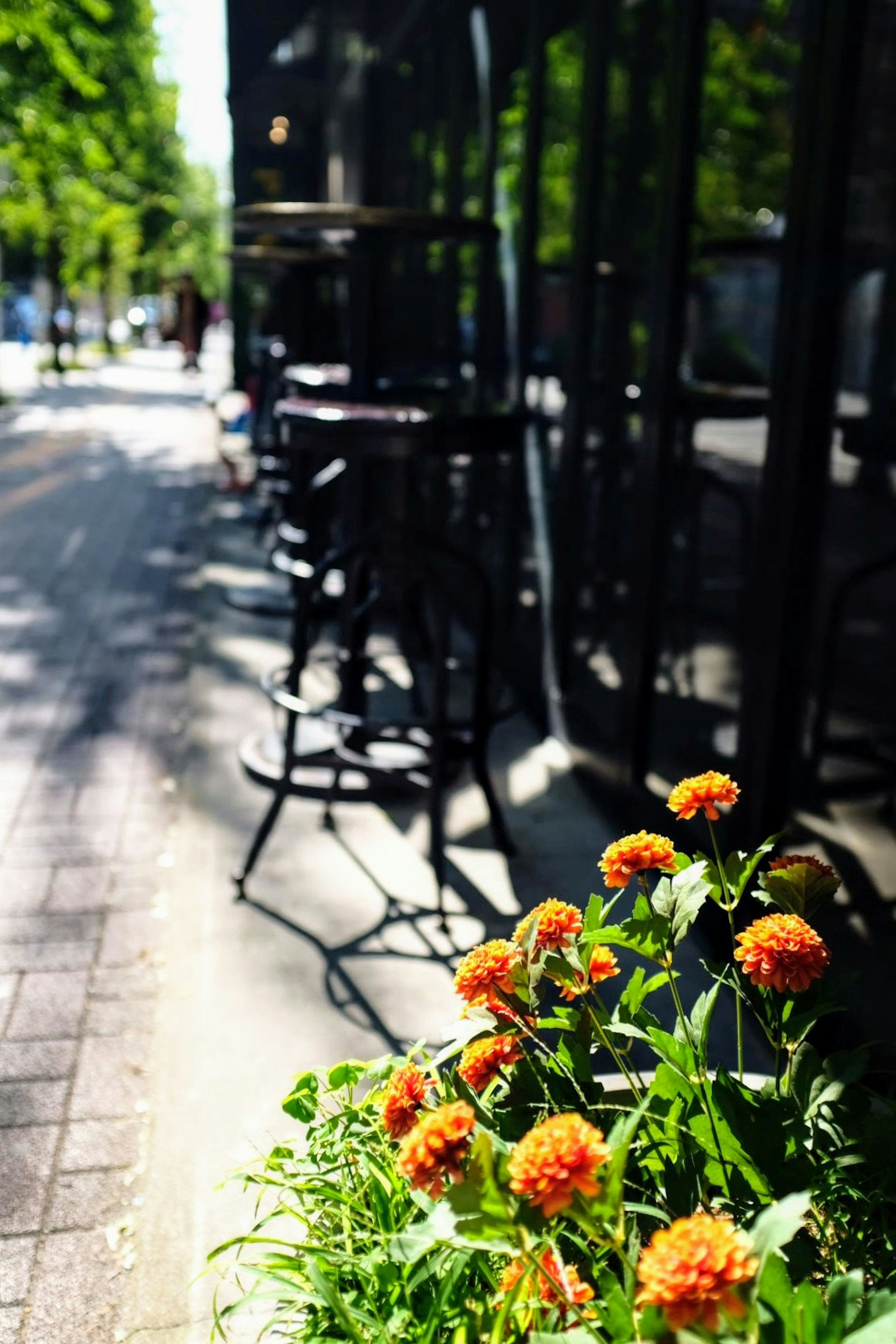 カフェの外に咲くオレンジの花と黒い椅子が並ぶ通りの風景