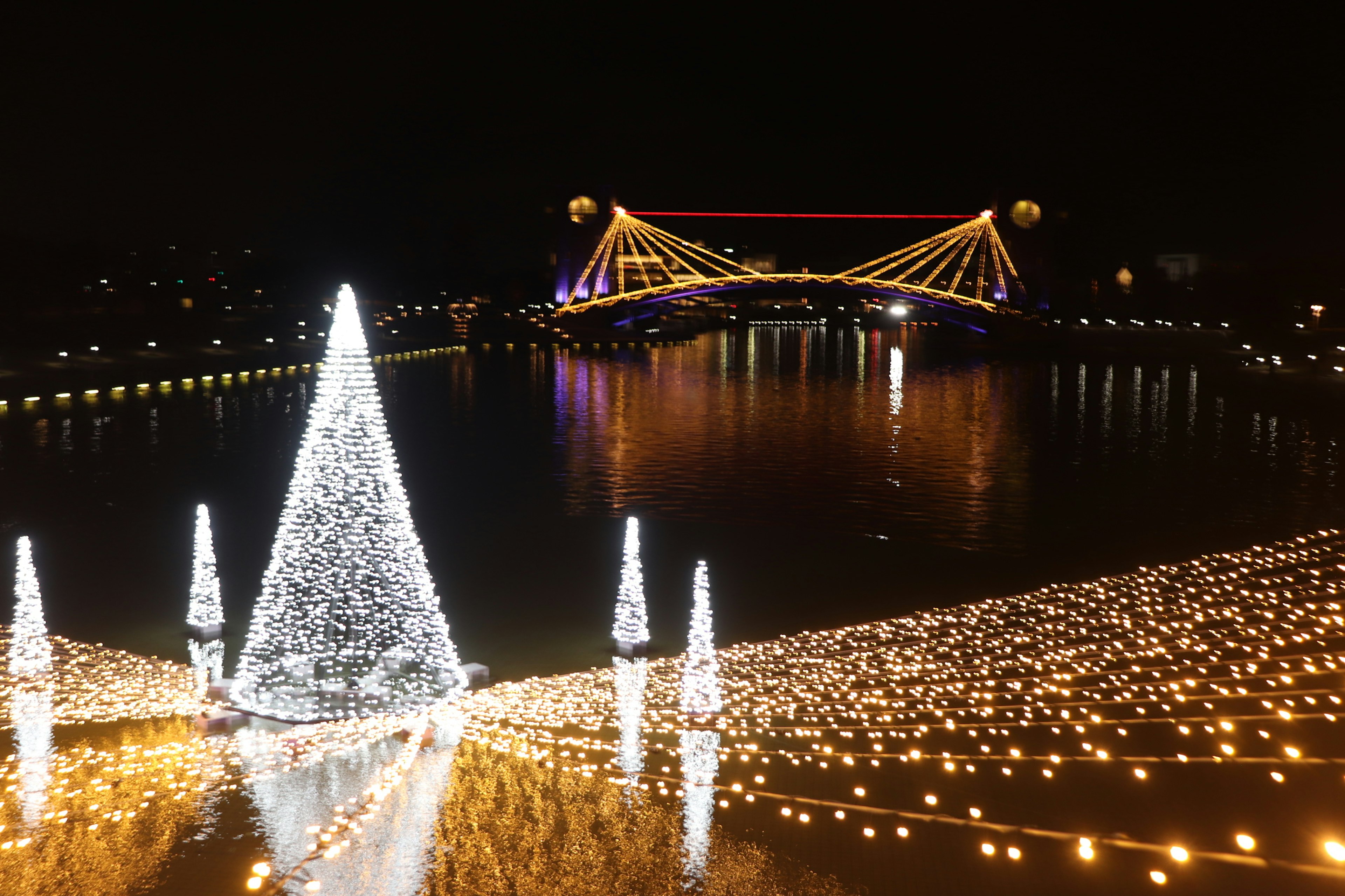 Árboles de Navidad iluminados y puente sobre el río de noche