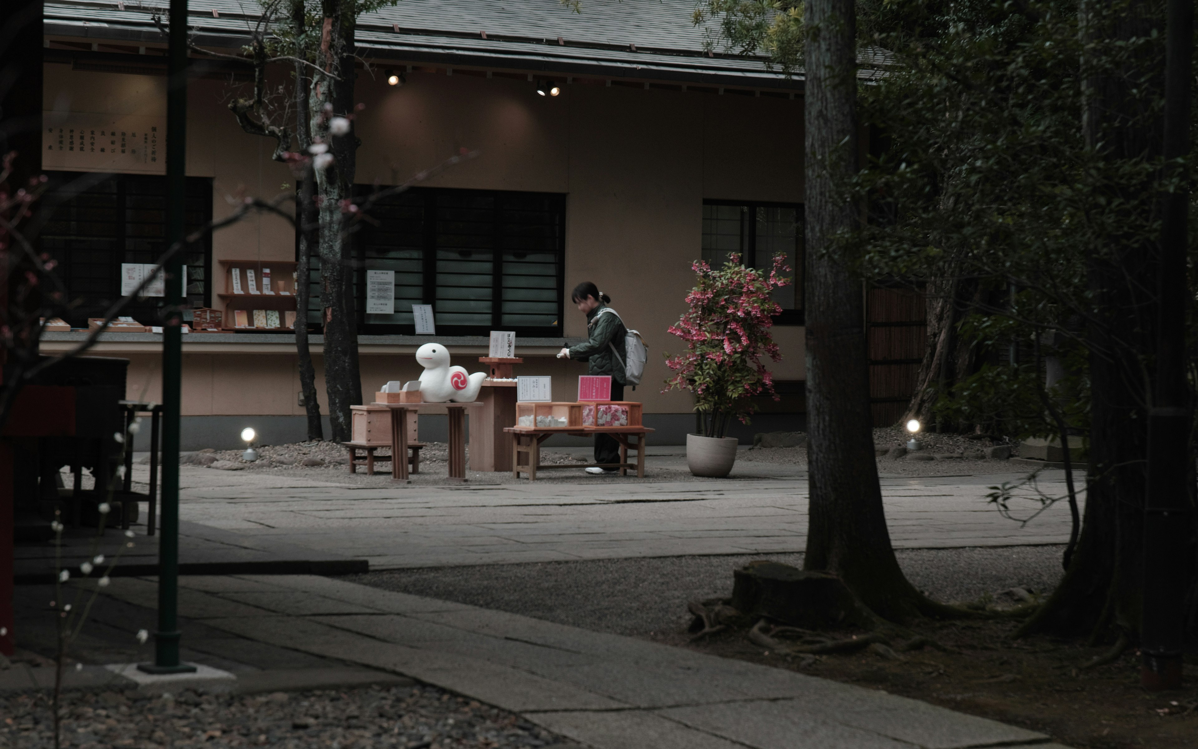 Persona trabajando en una mesa en un jardín tranquilo con plantas alrededor