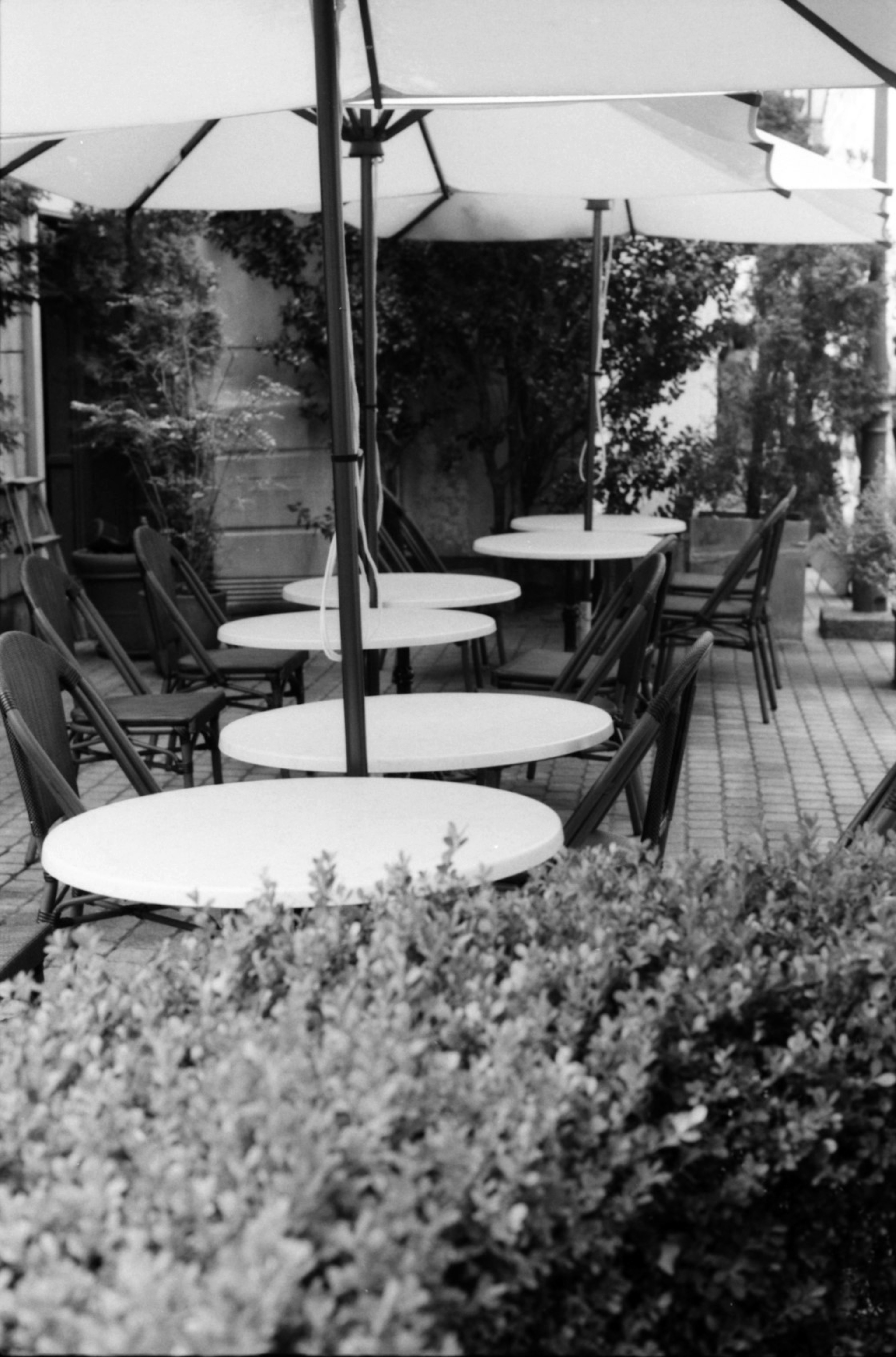 Outdoor cafe scene with tables and chairs arranged under umbrellas