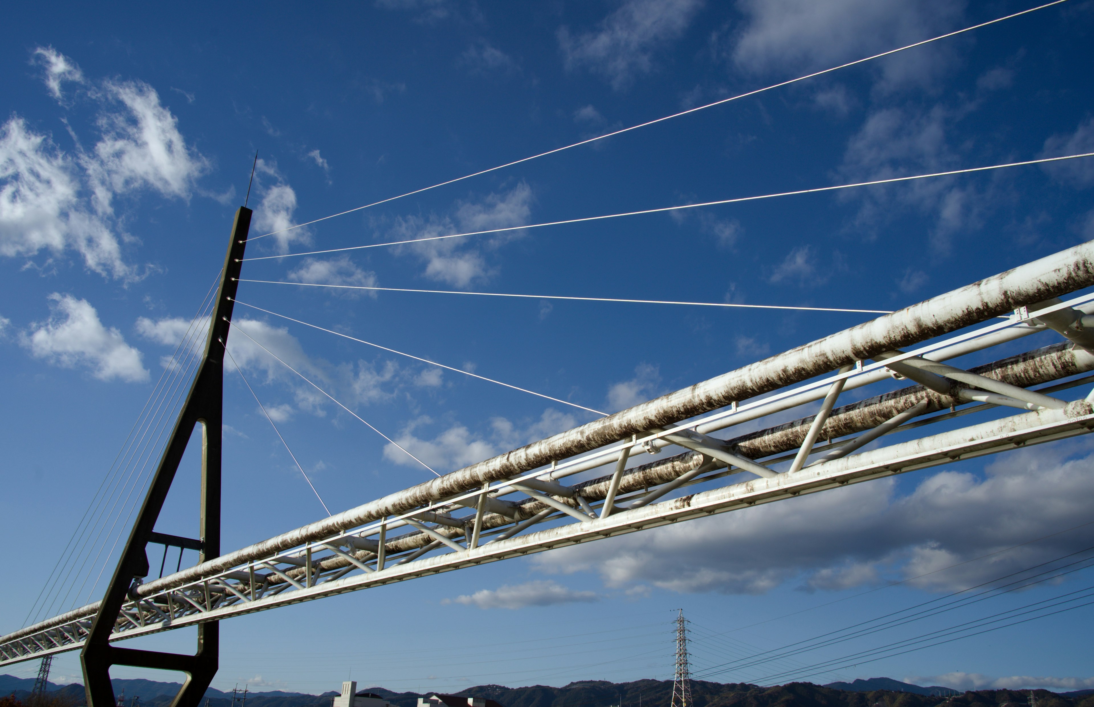 Struttura di ponte con supporti di cavi bianchi contro un cielo blu