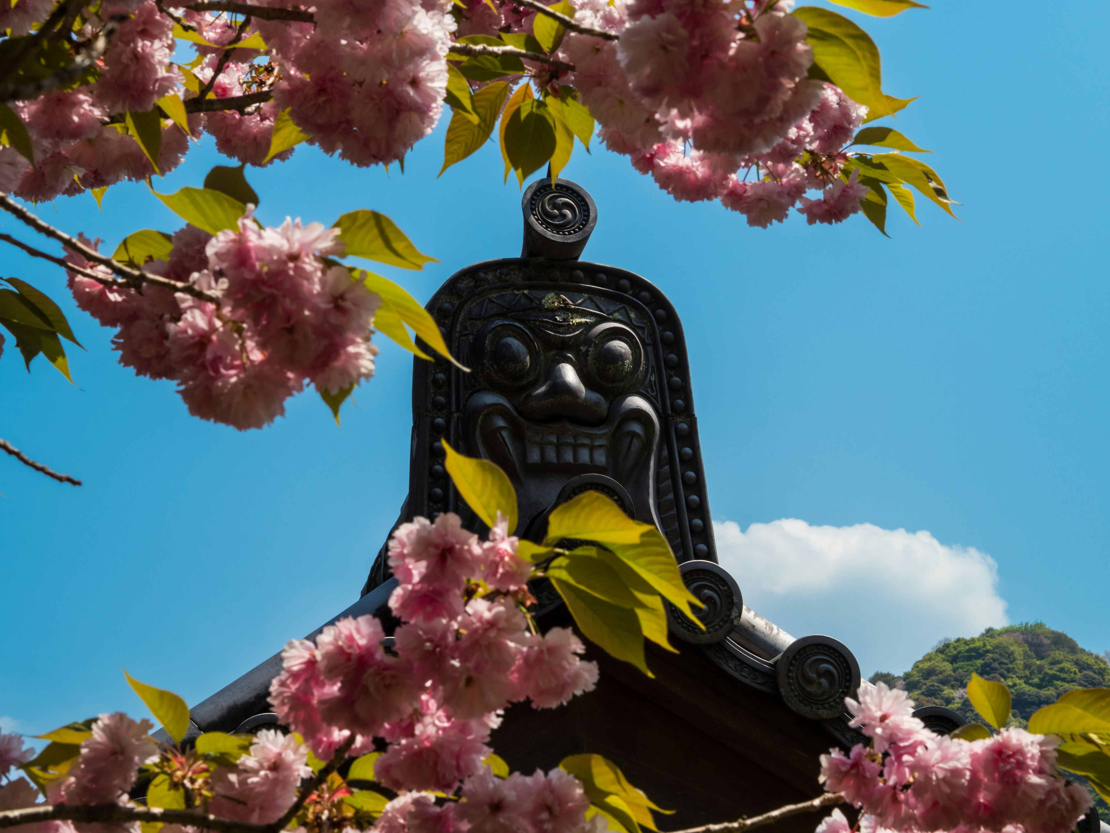 Escultura decorativa del tejado enmarcada por flores de cerezo bajo un cielo azul