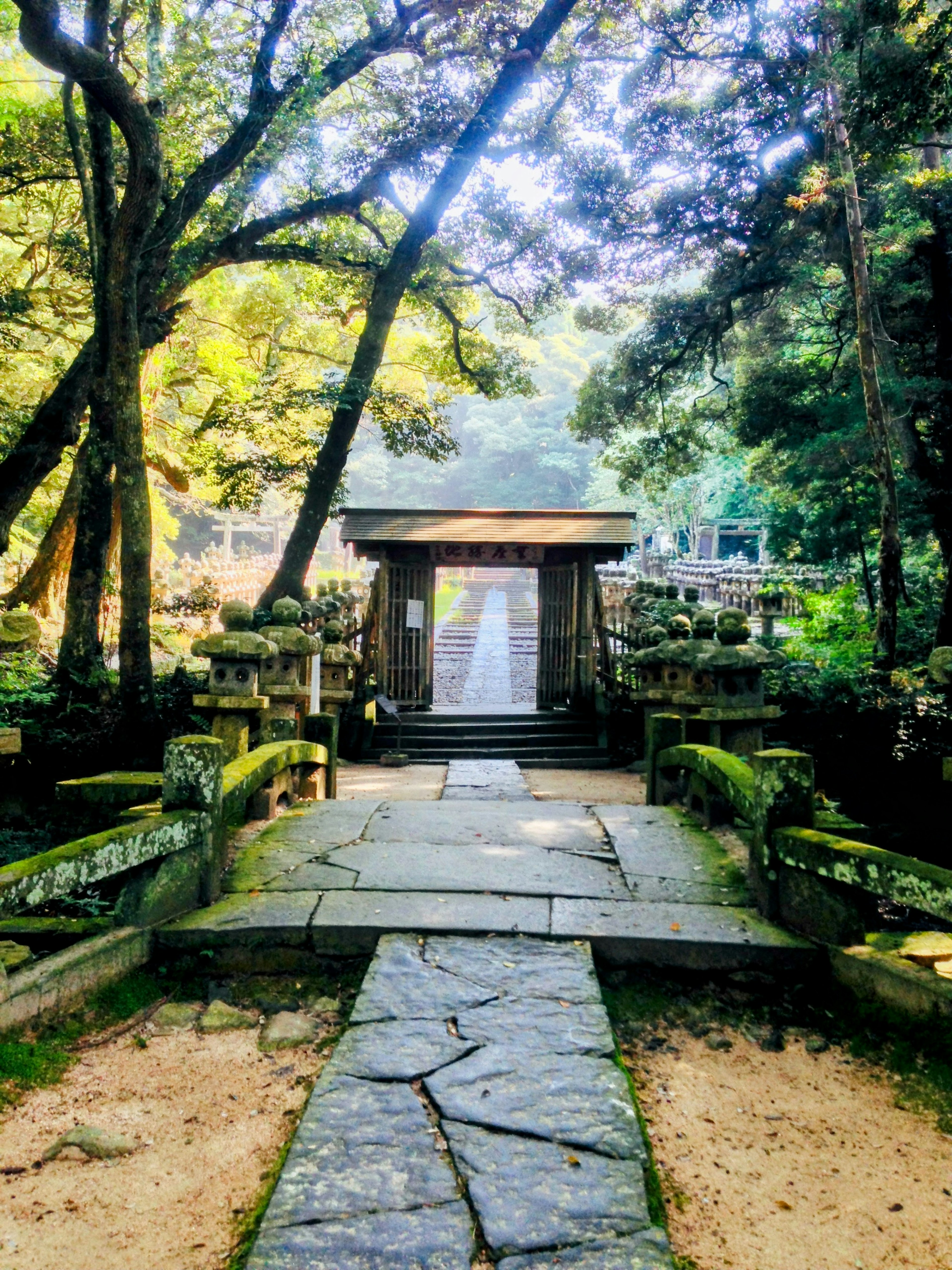 Stone path leading to a shrine entrance surrounded by lush greenery