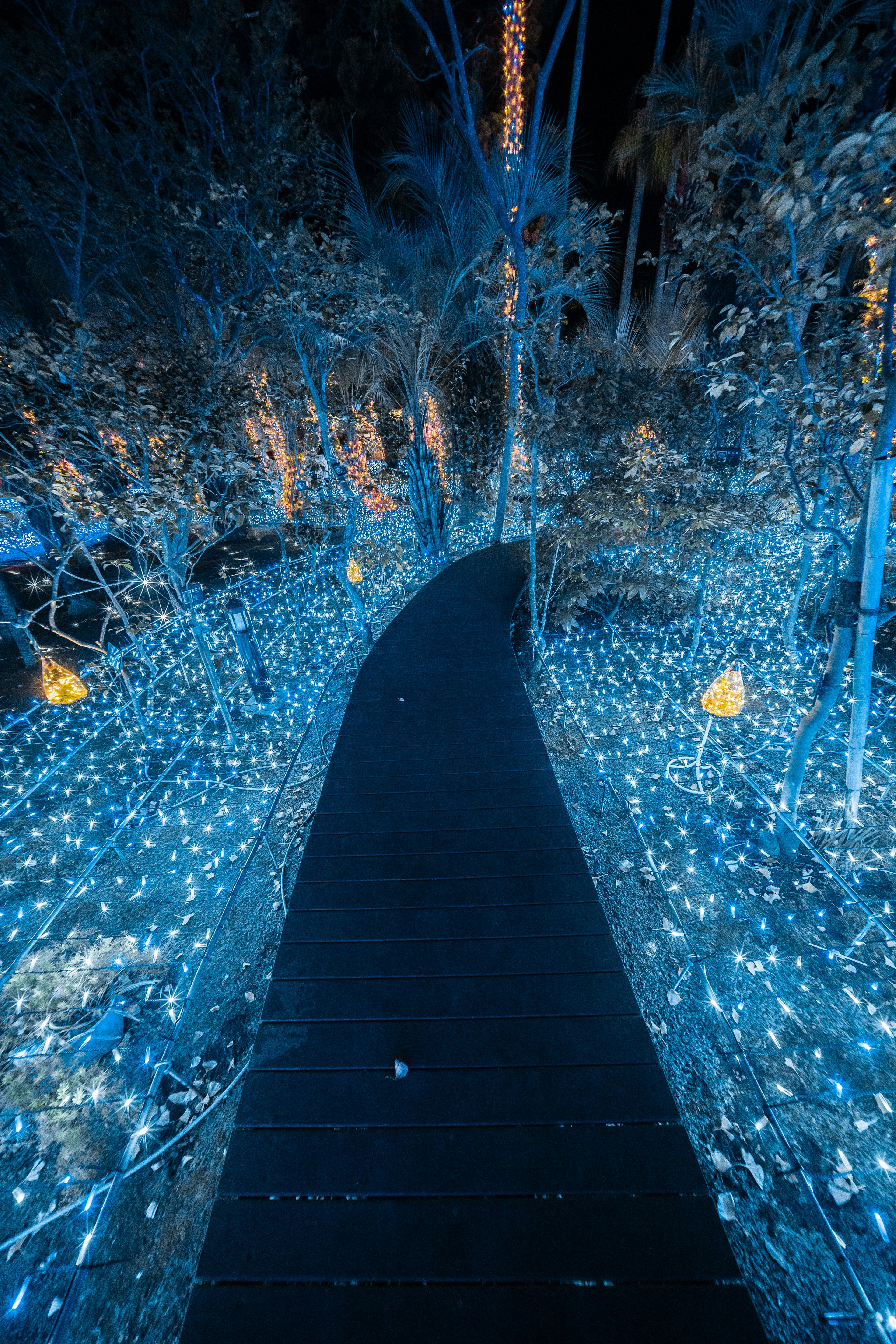 Un chemin sinueux illuminé par des lumières bleues entouré d'arbres