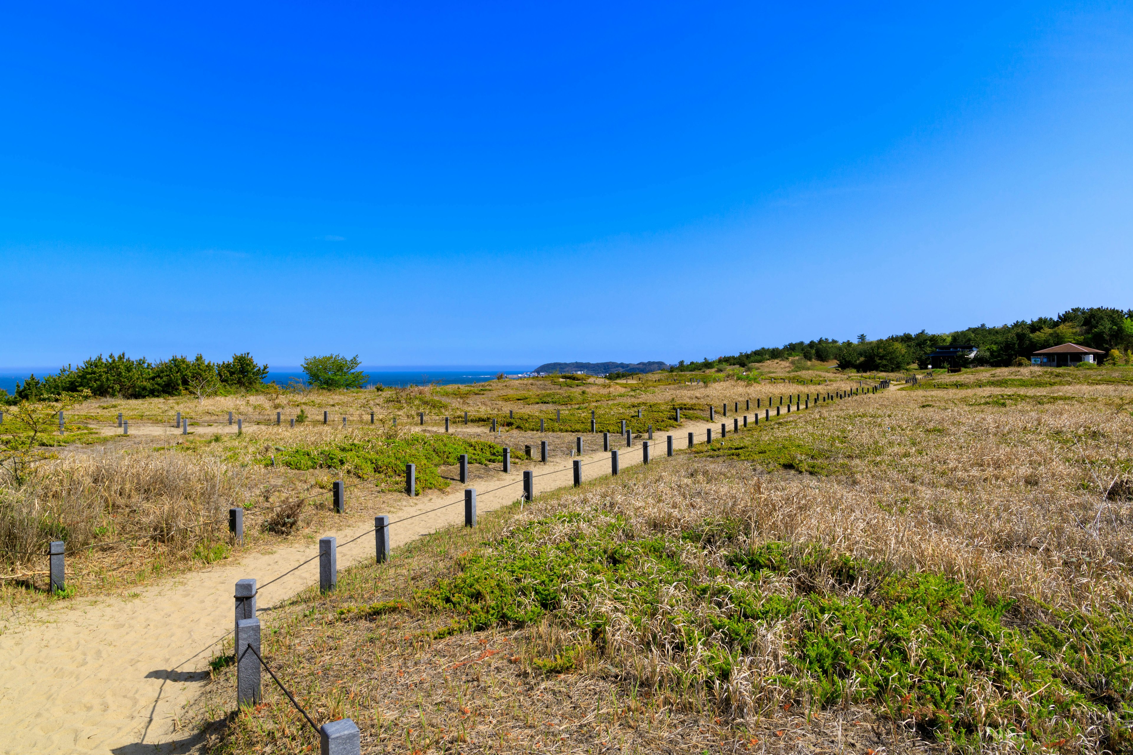 A scenic path winding through an open field under a clear blue sky