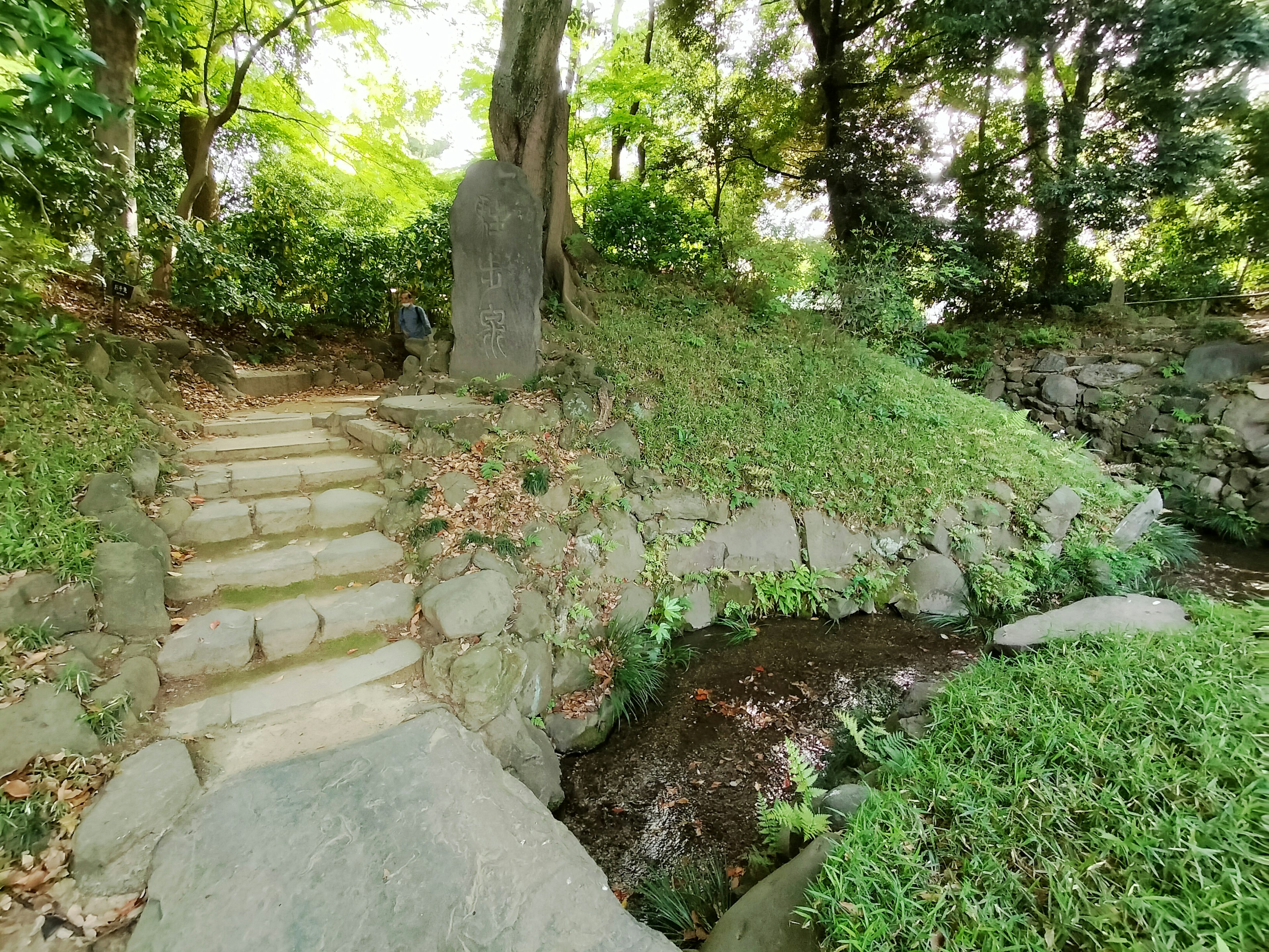 A serene park path with lush greenery and stone steps