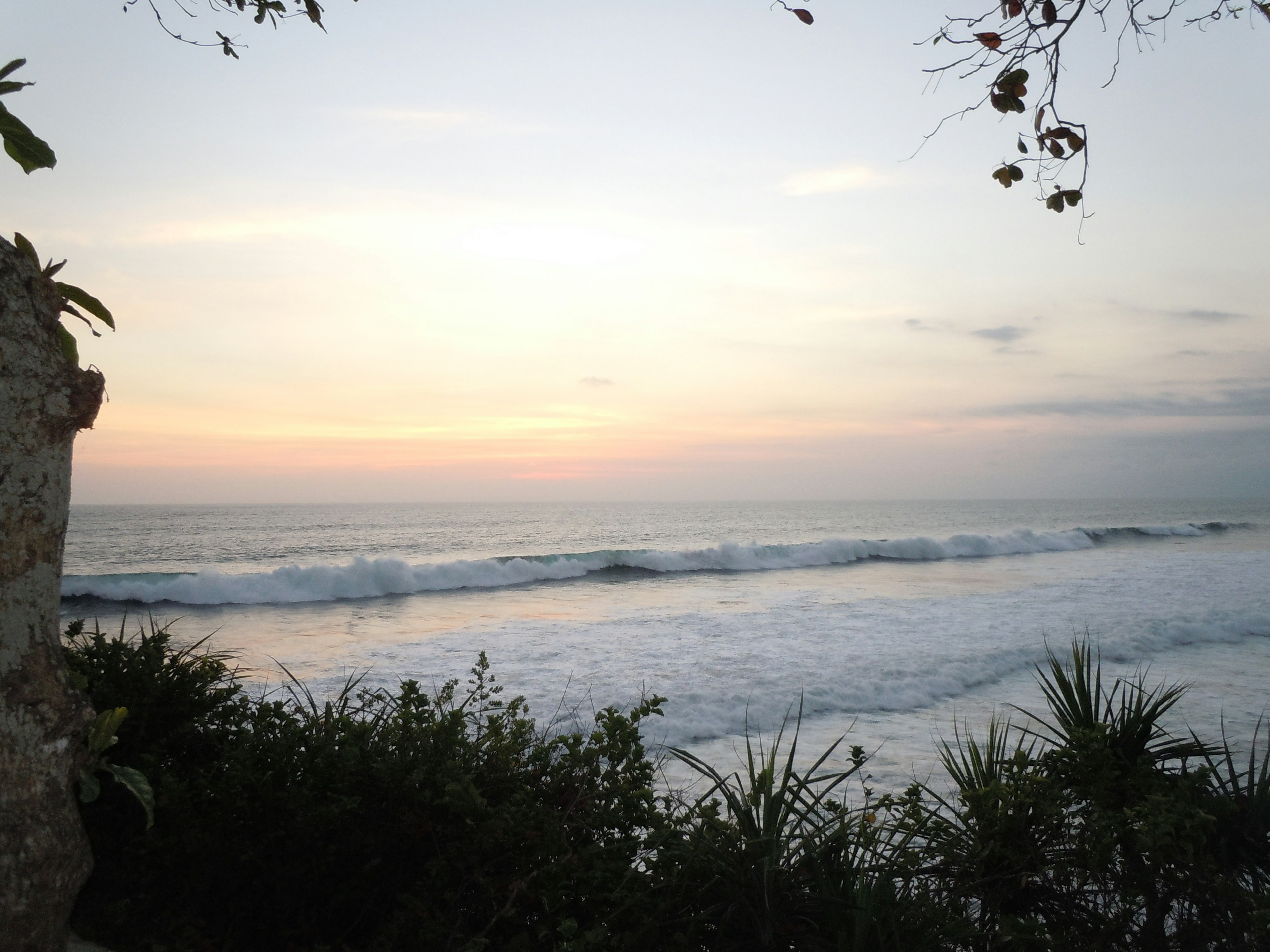 Pemandangan matahari terbenam pesisir yang indah dengan ombak dan tanaman