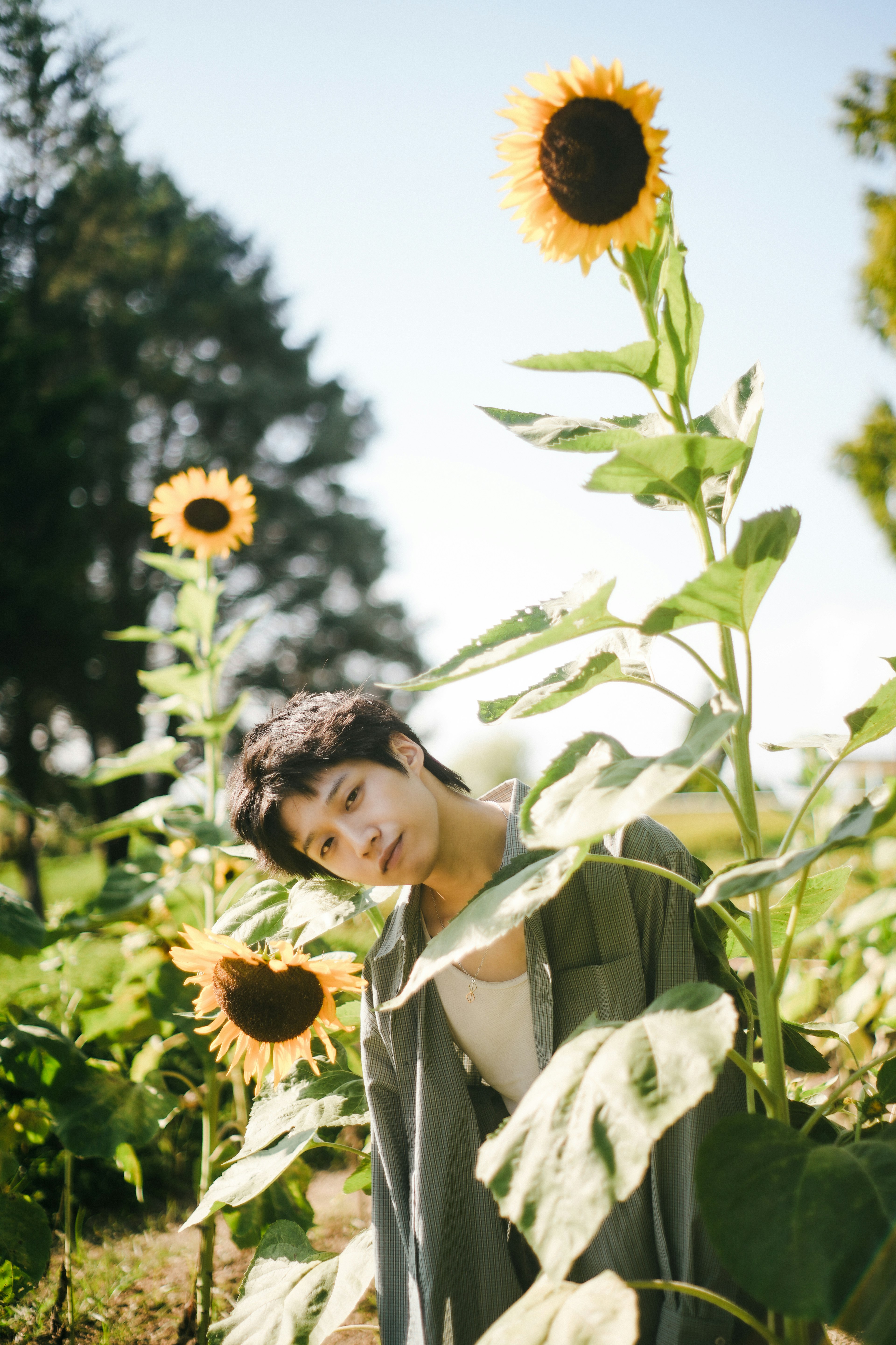 Une jeune personne posant parmi de grands tournesols sous un ciel bleu clair