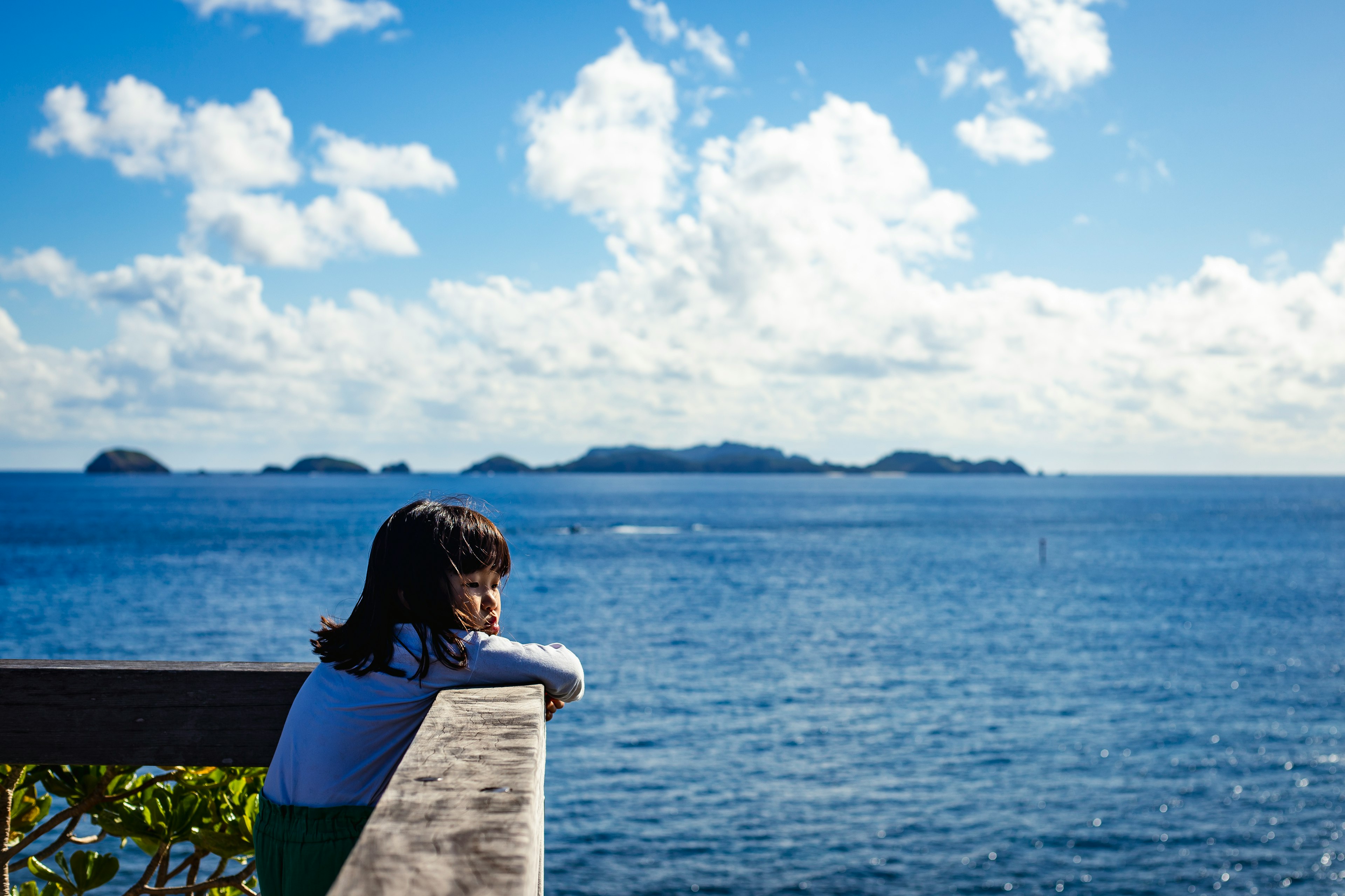 海を見つめる少女の後ろ姿と青空